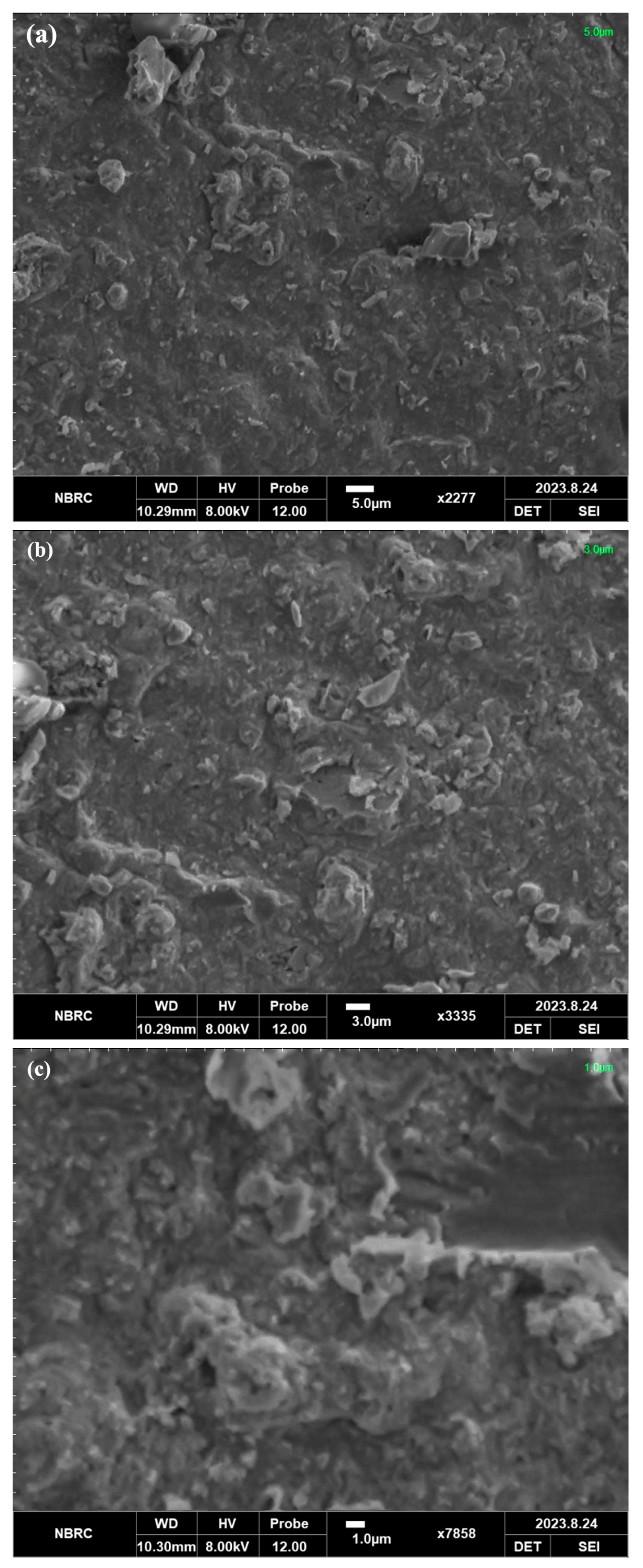 Catalysts 14 00449 g002a