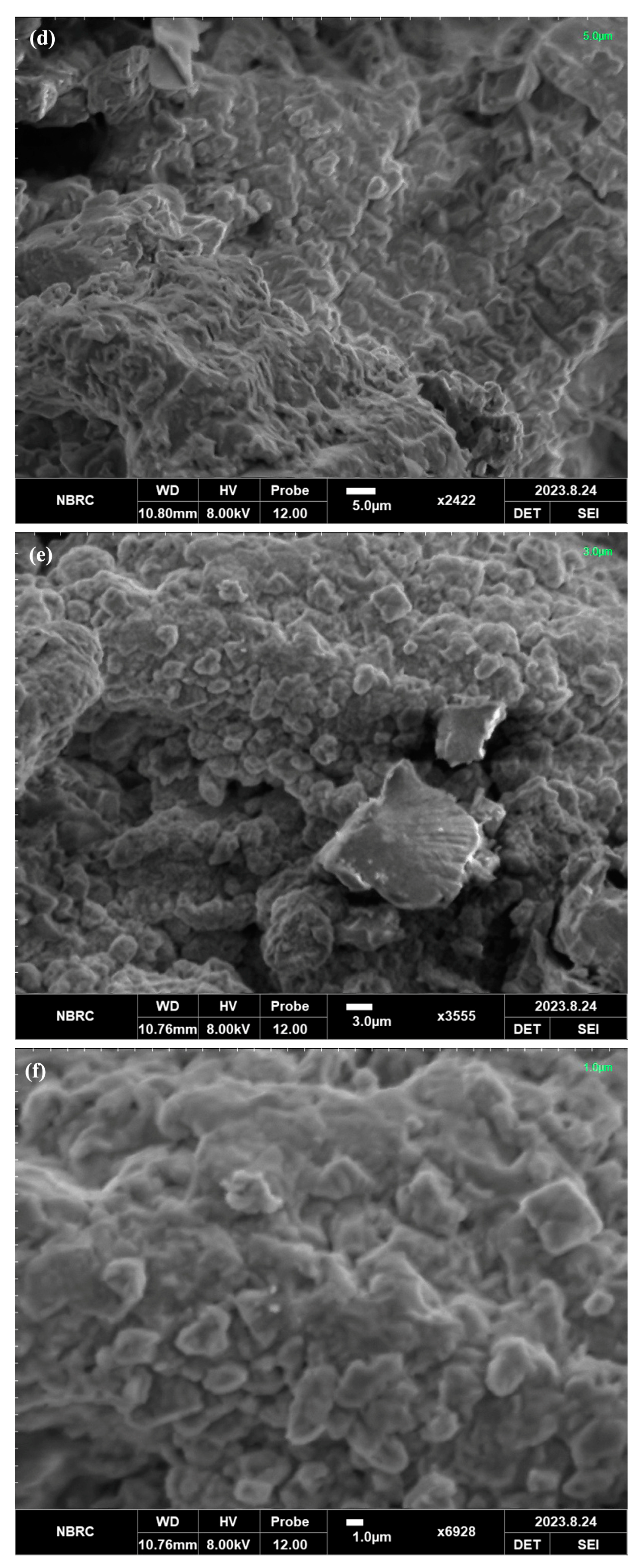 Catalysts 14 00449 g002b