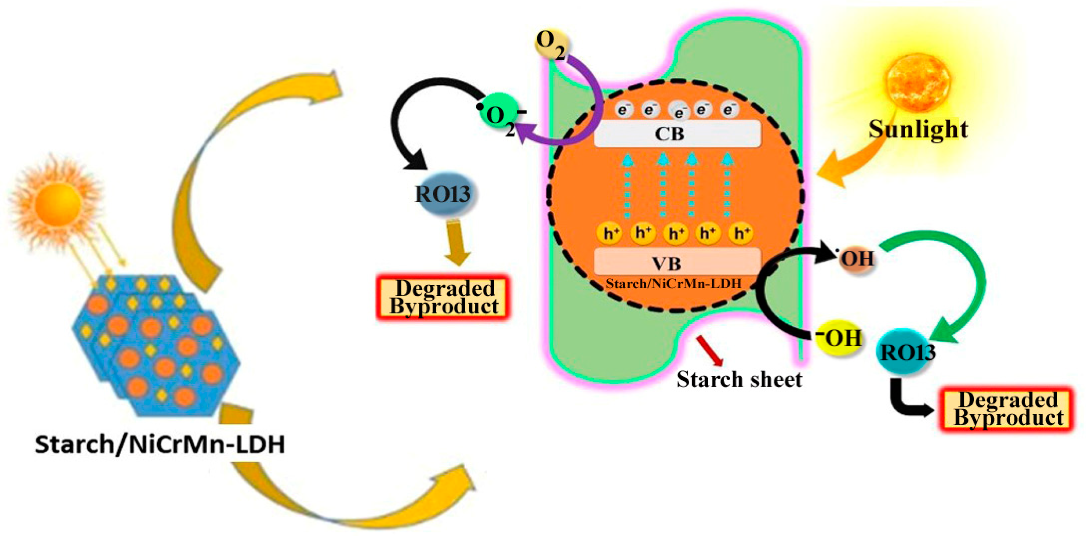 Catalysts 14 00449 g016