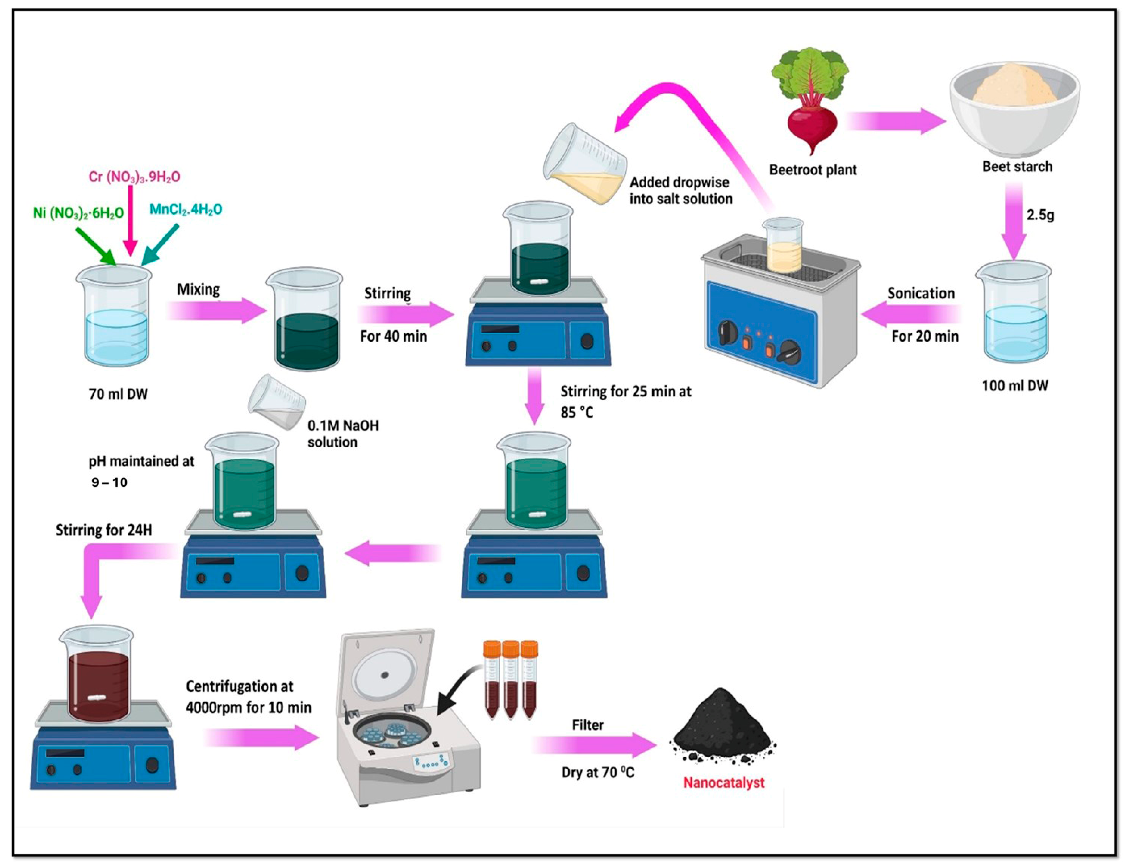 Catalysts 14 00449 g017