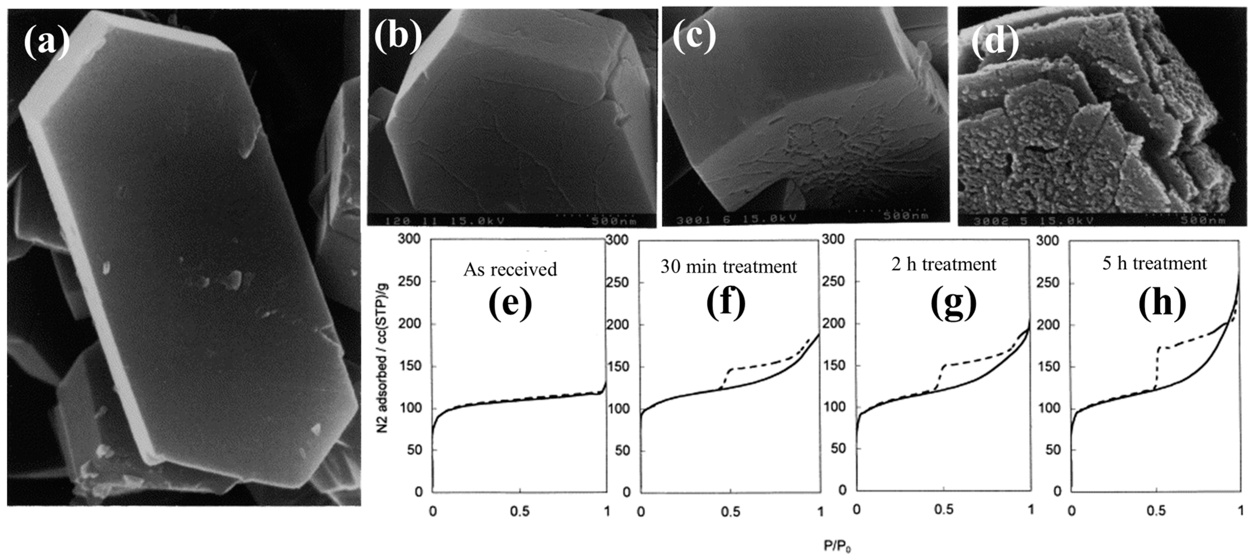 Catalysts 14 00450 g002