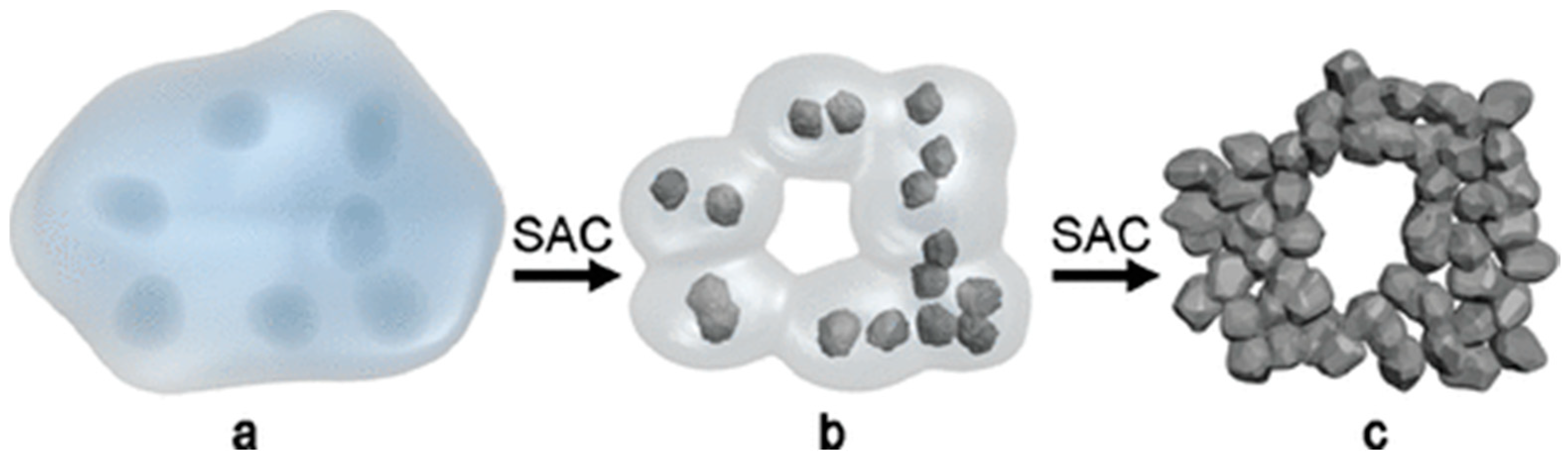 Catalysts 14 00450 g017