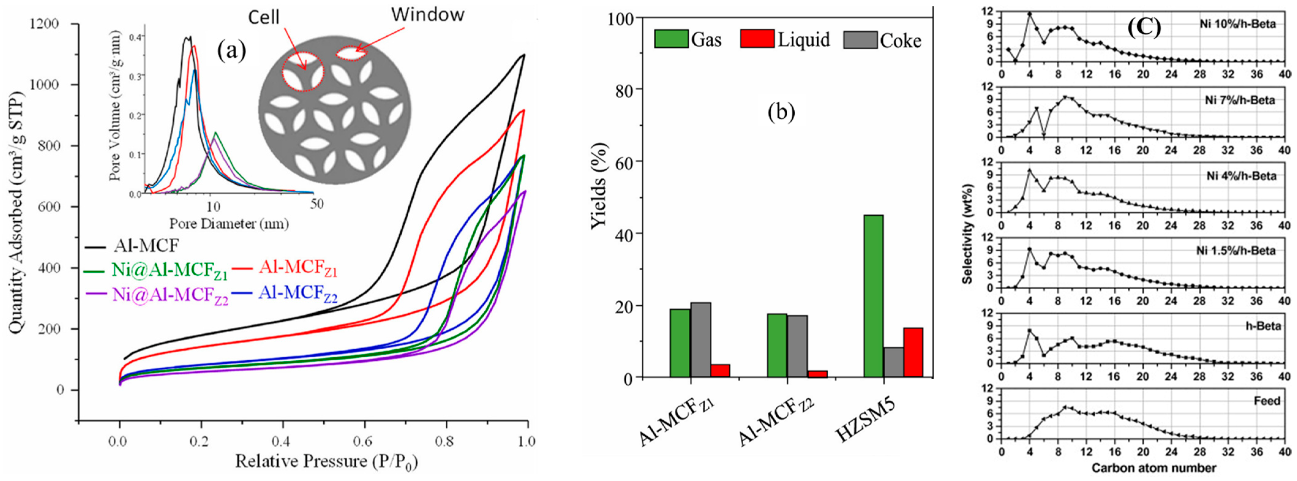 Catalysts 14 00450 g018