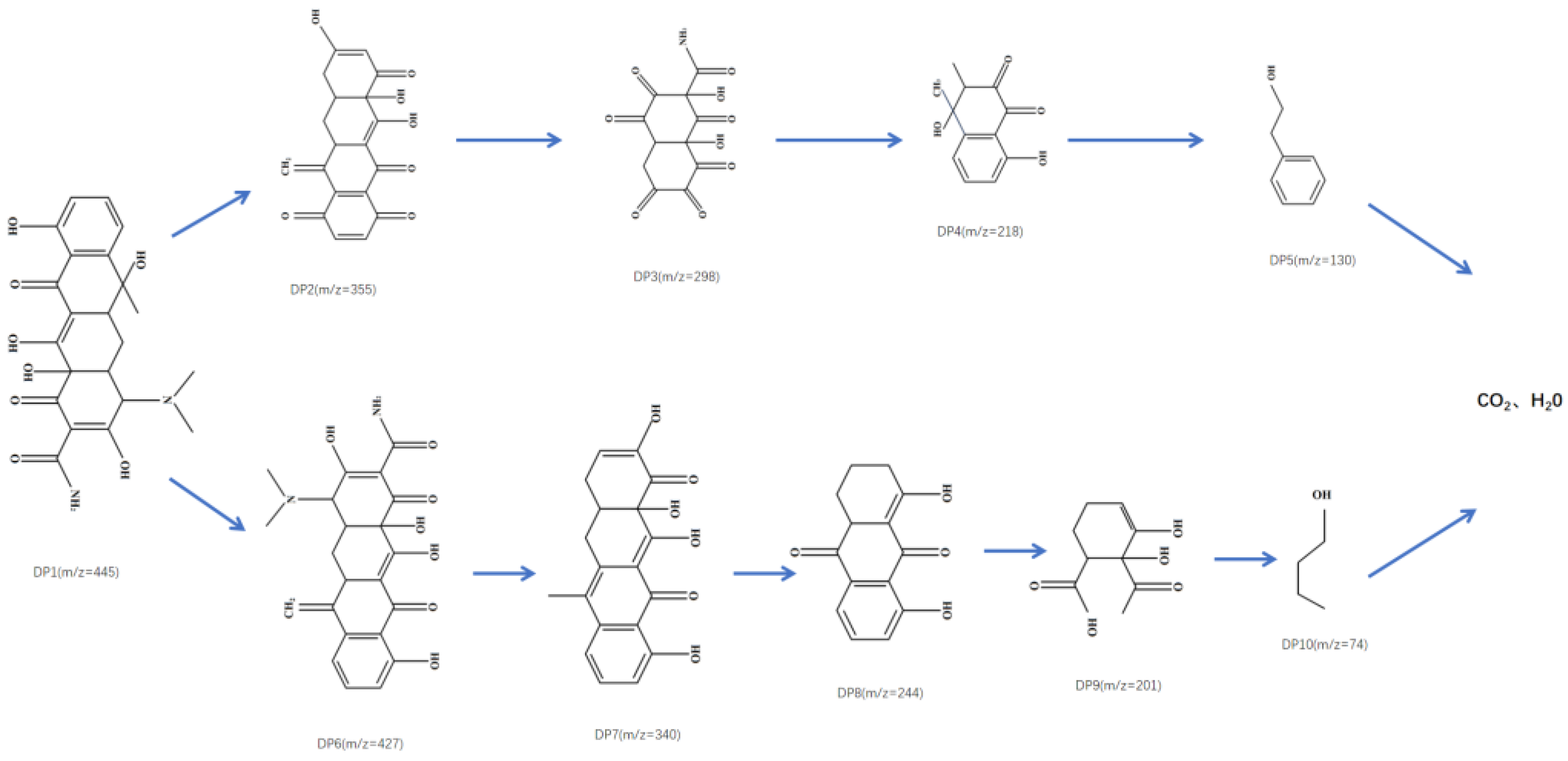Catalysts 14 00453 g009