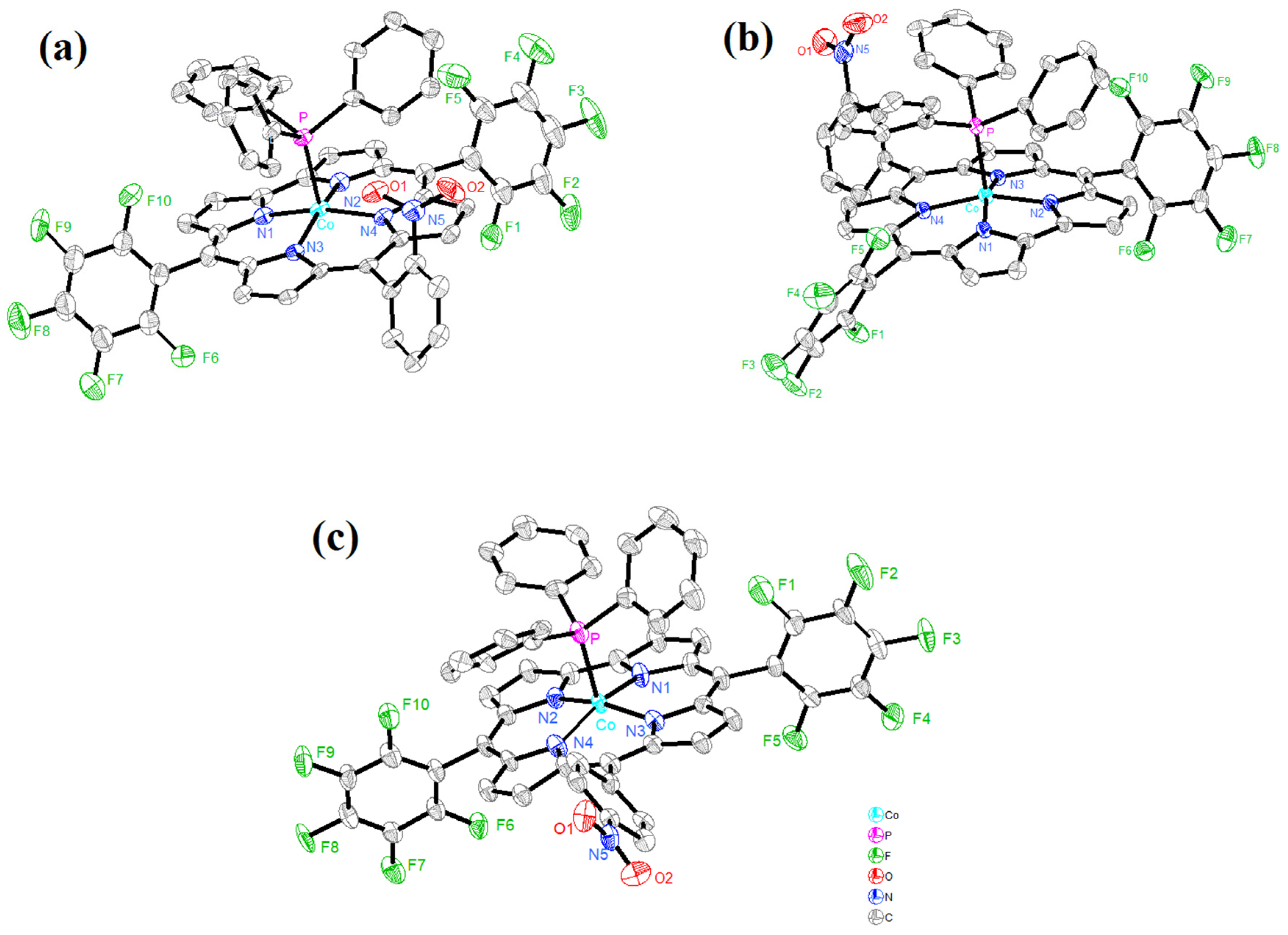 Catalysts 14 00454 g002