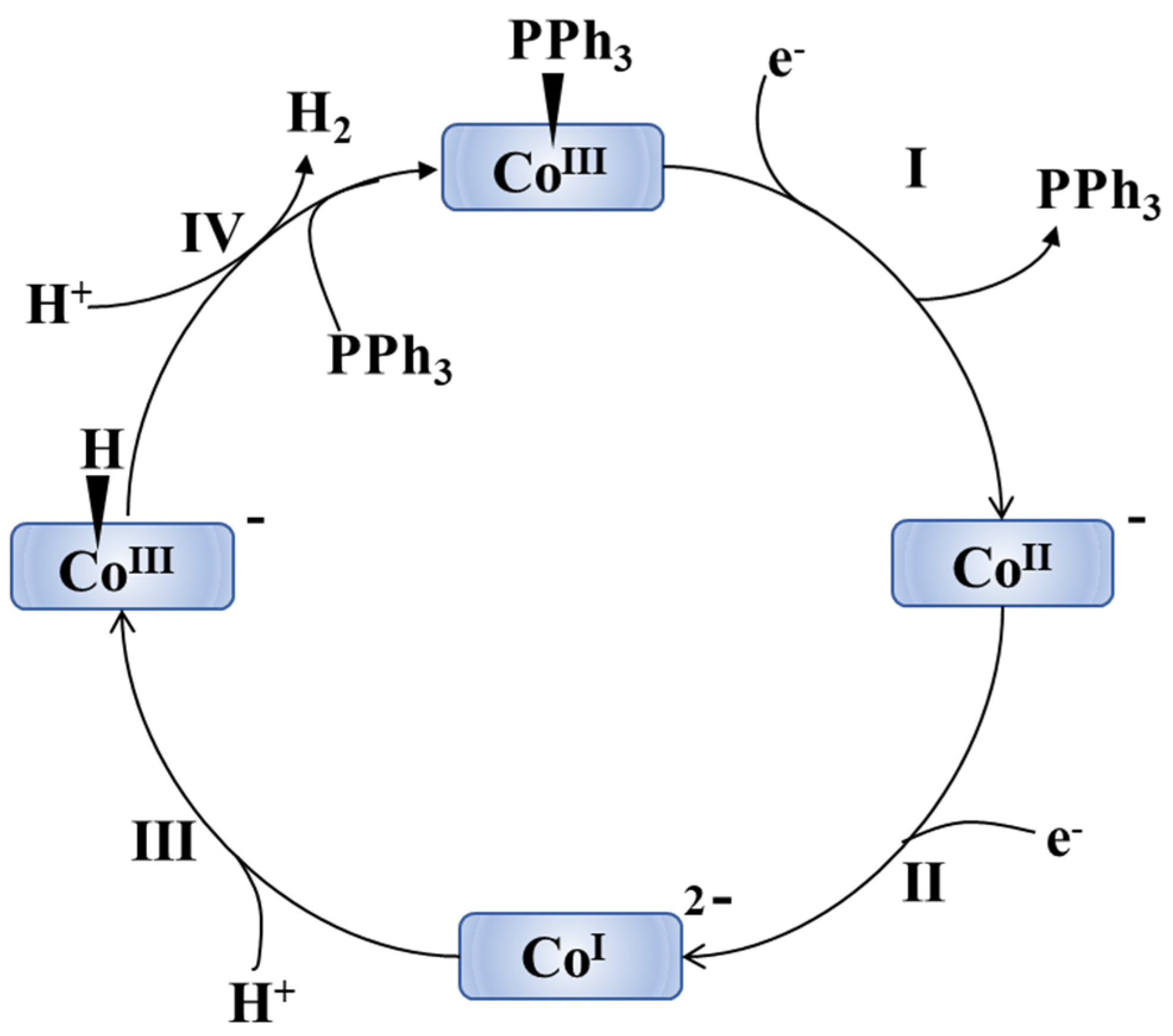 Catalysts 14 00454 sch002