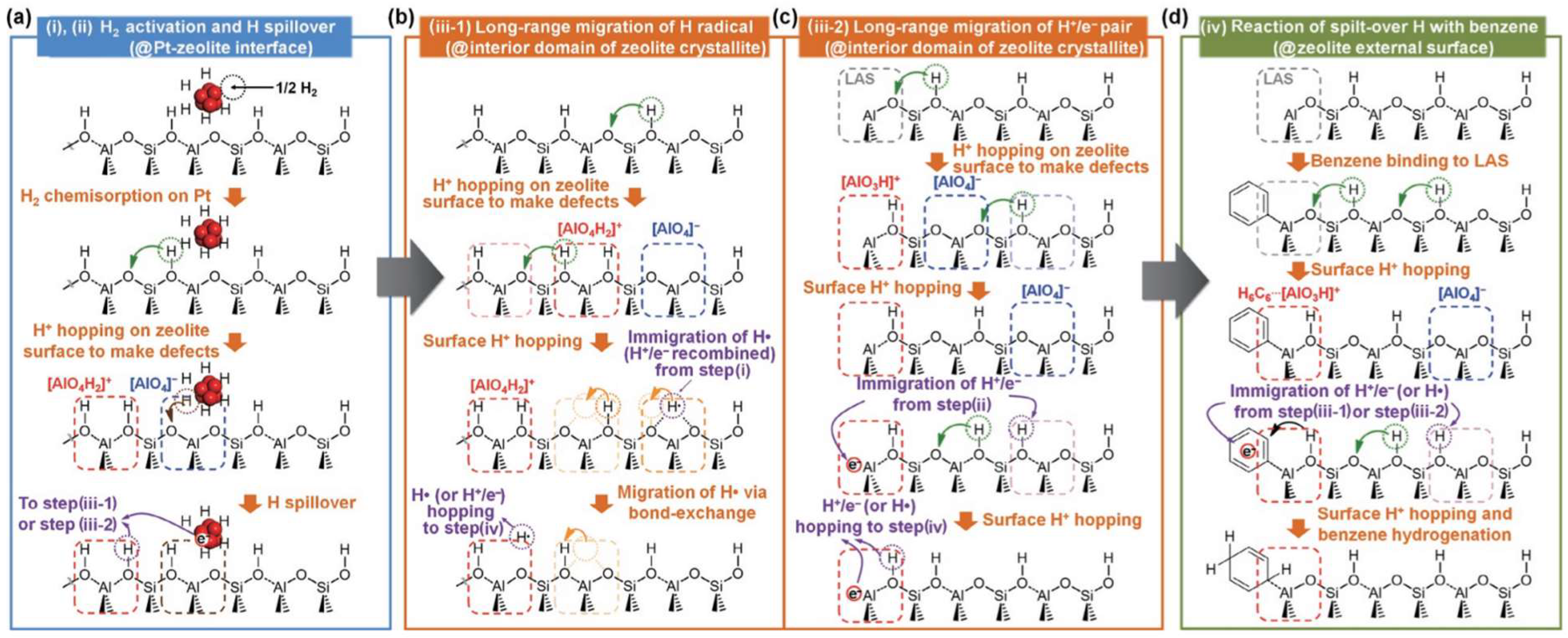 Catalysts 14 00458 sch001