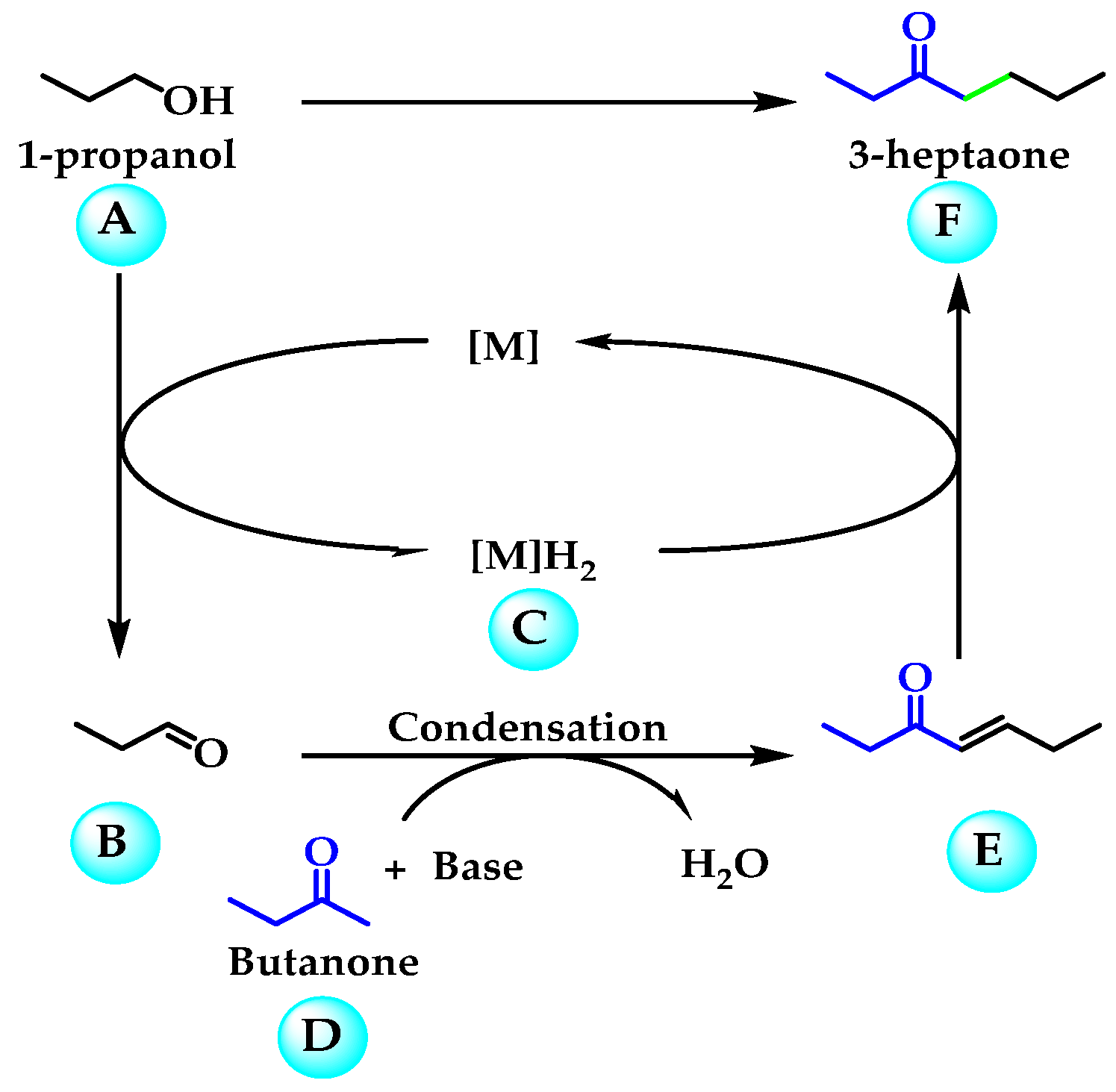 Catalysts 14 00463 sch001
