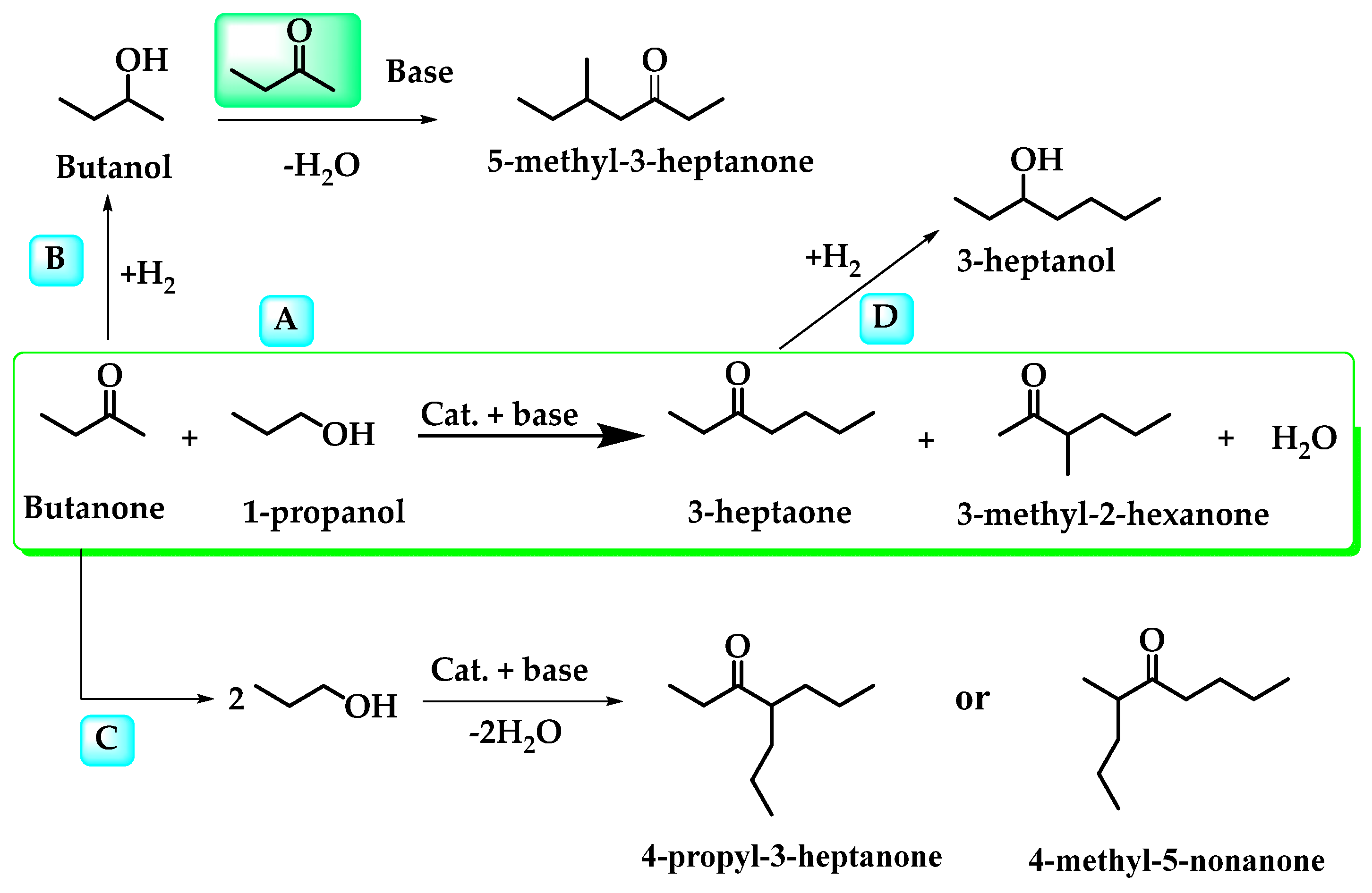 Catalysts 14 00463 sch002