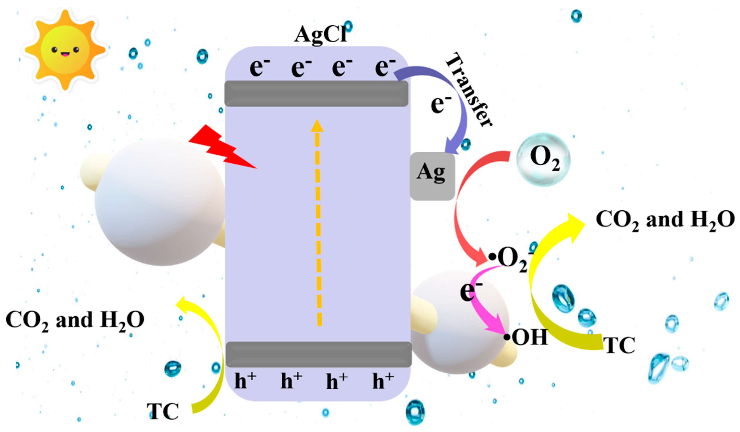 Catalysts 14 00464 g010