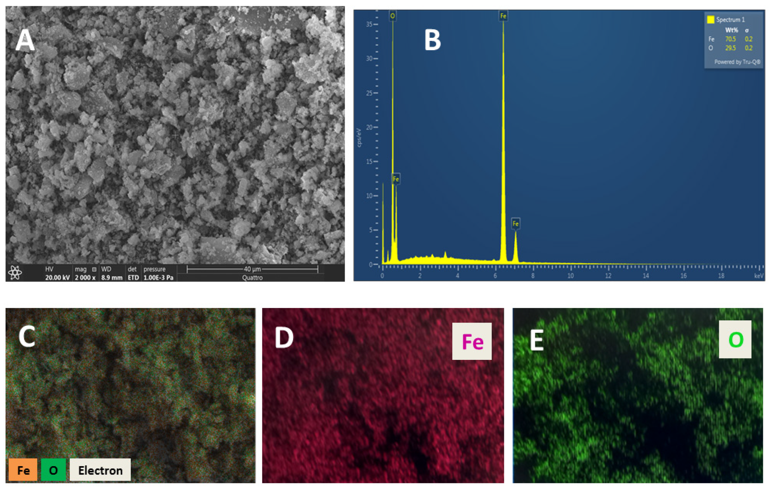 Catalysts 14 00466 g002