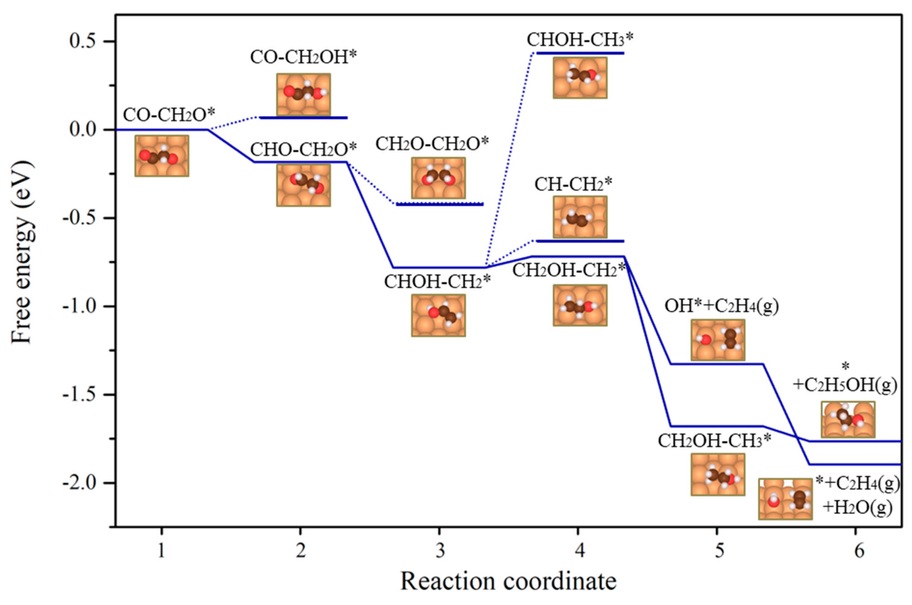 Catalysts 14 00468 g005