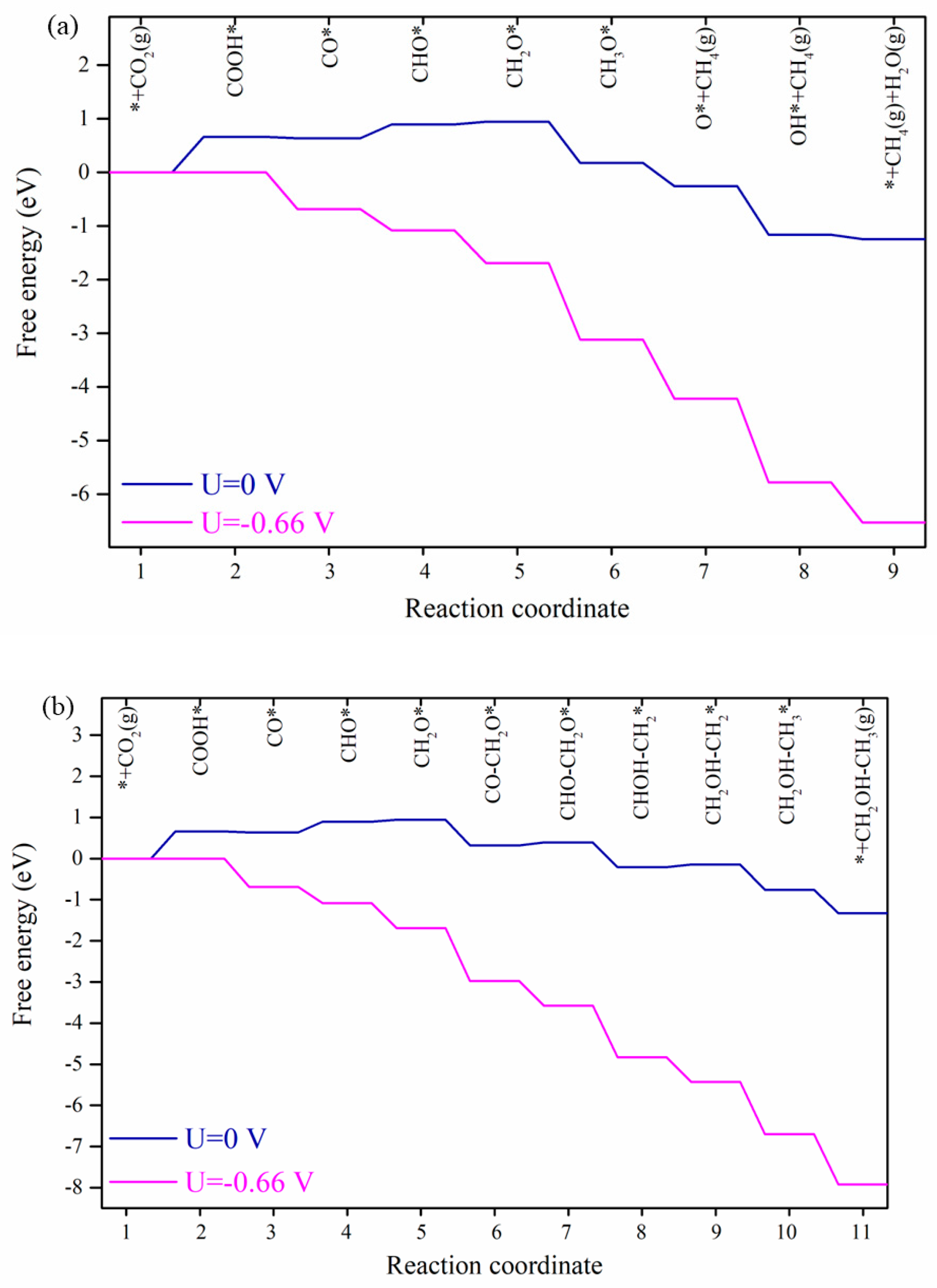 Catalysts 14 00468 g006