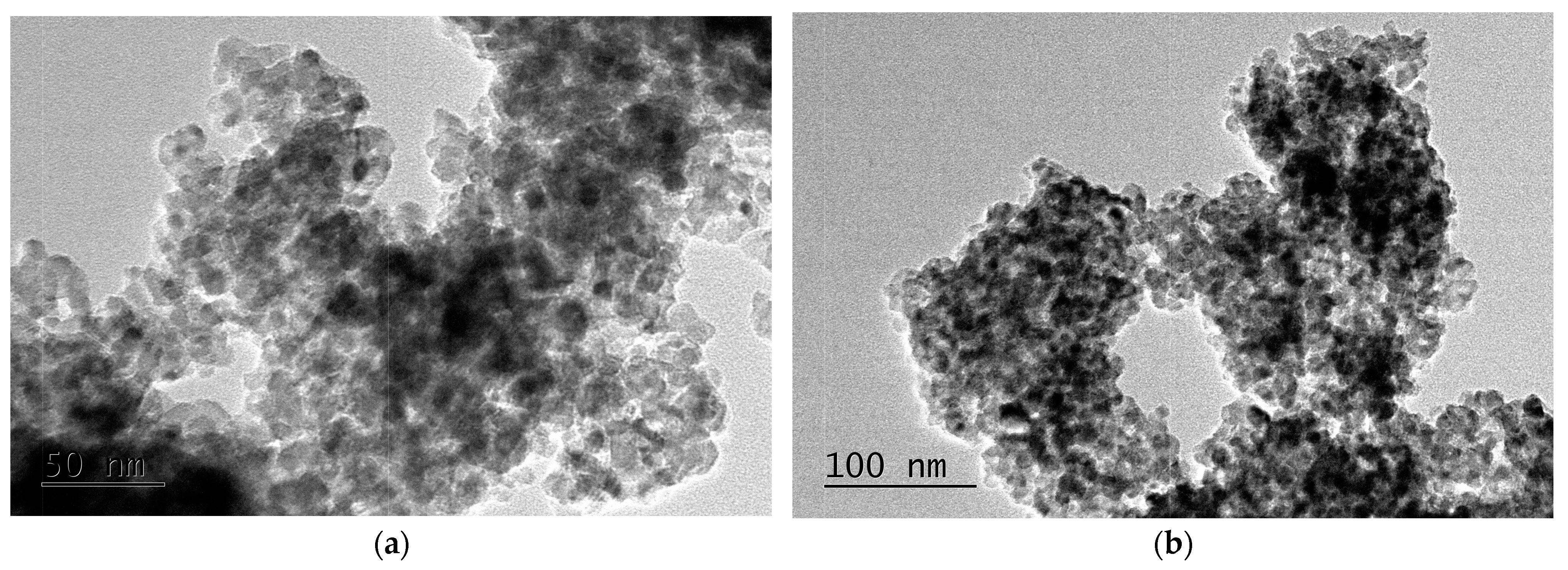 Catalysts 14 00469 g002