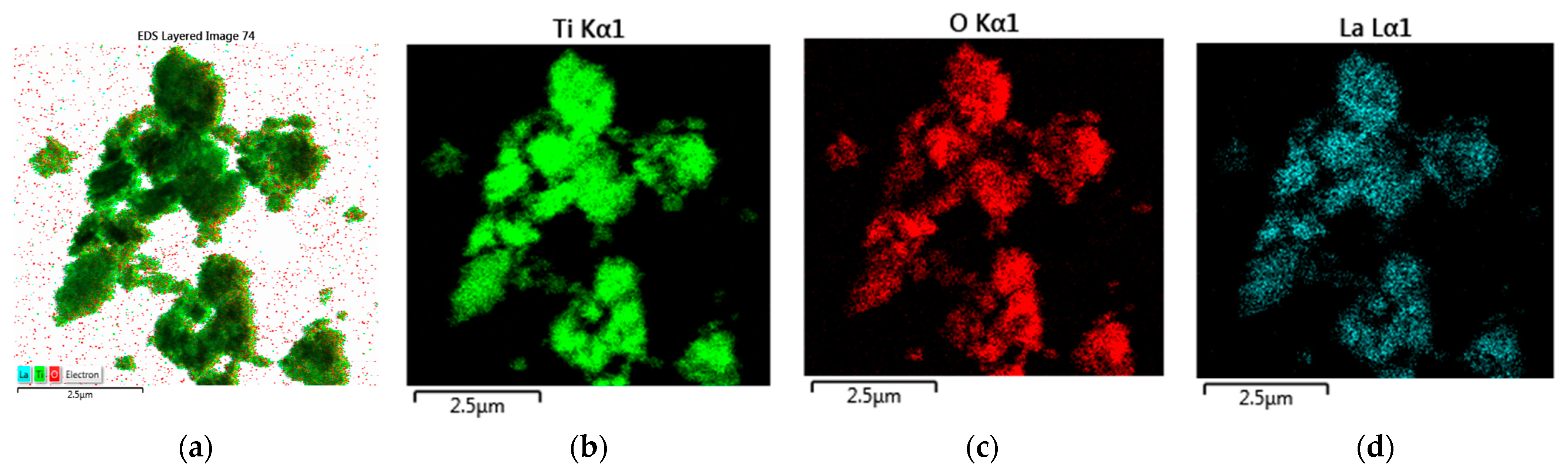 Catalysts 14 00469 g003