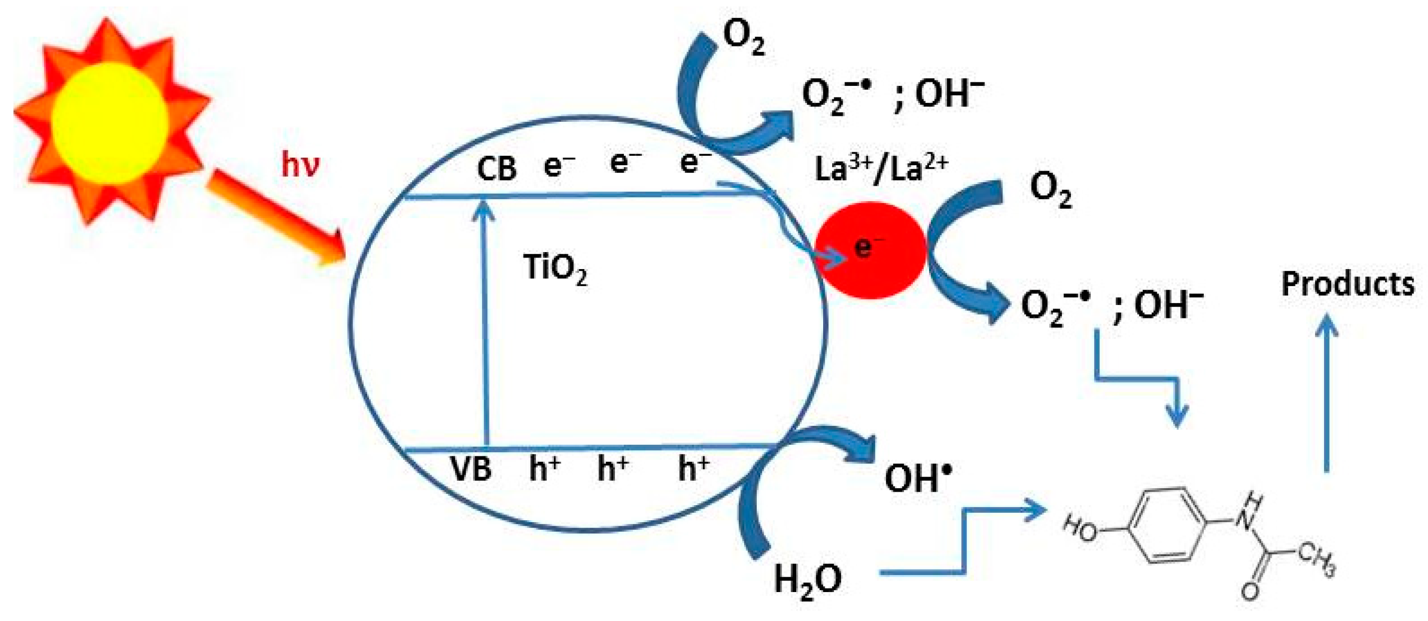 Catalysts 14 00469 g008