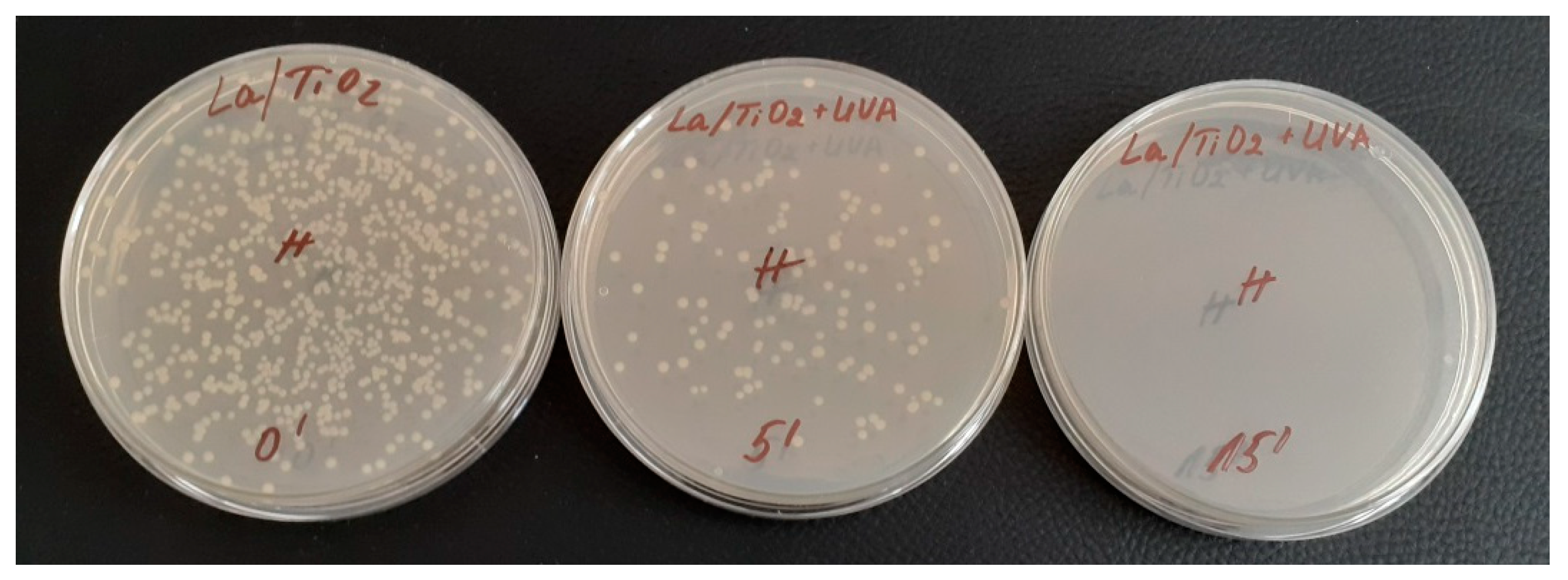 Catalysts 14 00469 g011