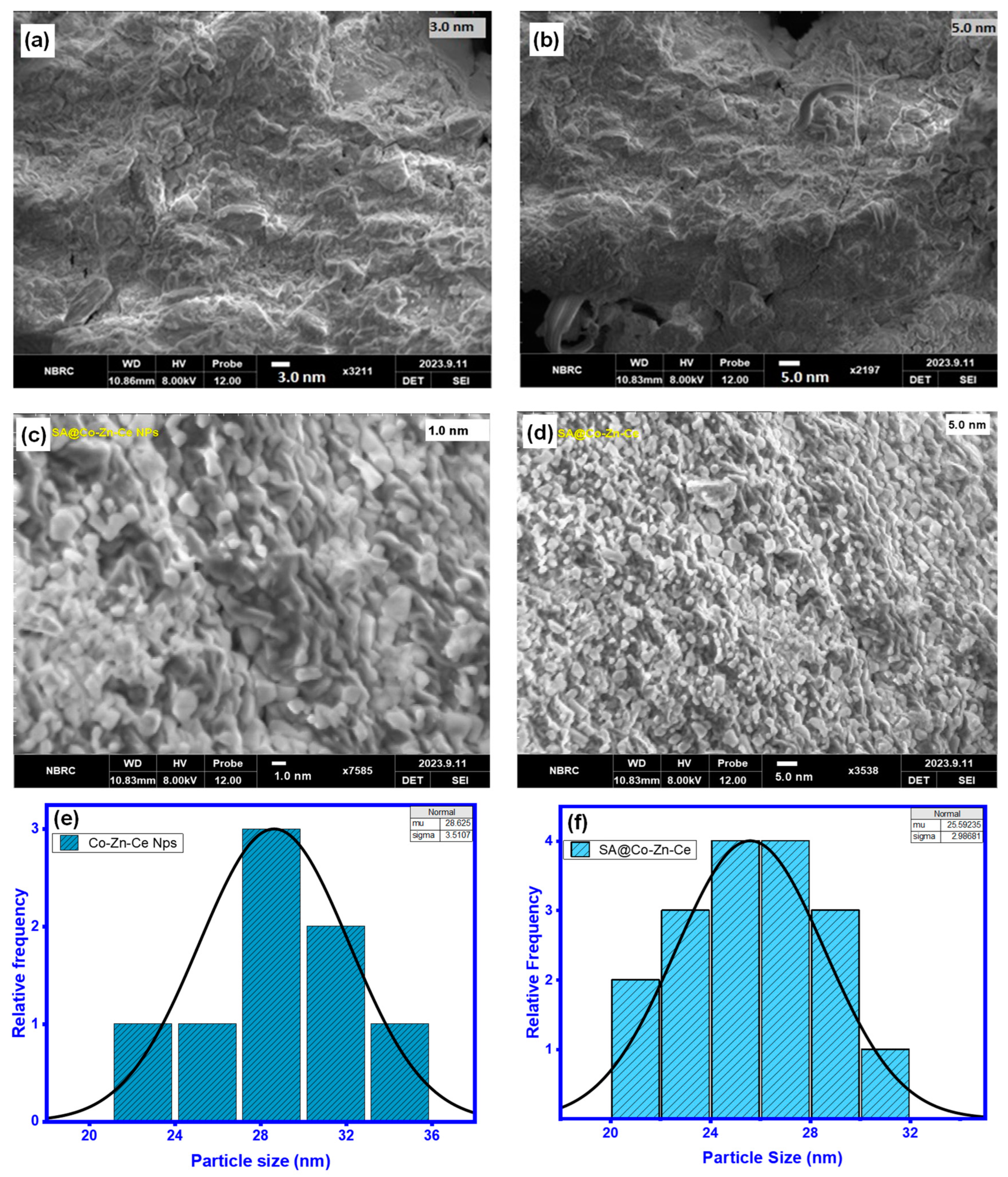 Catalysts 14 00471 g004