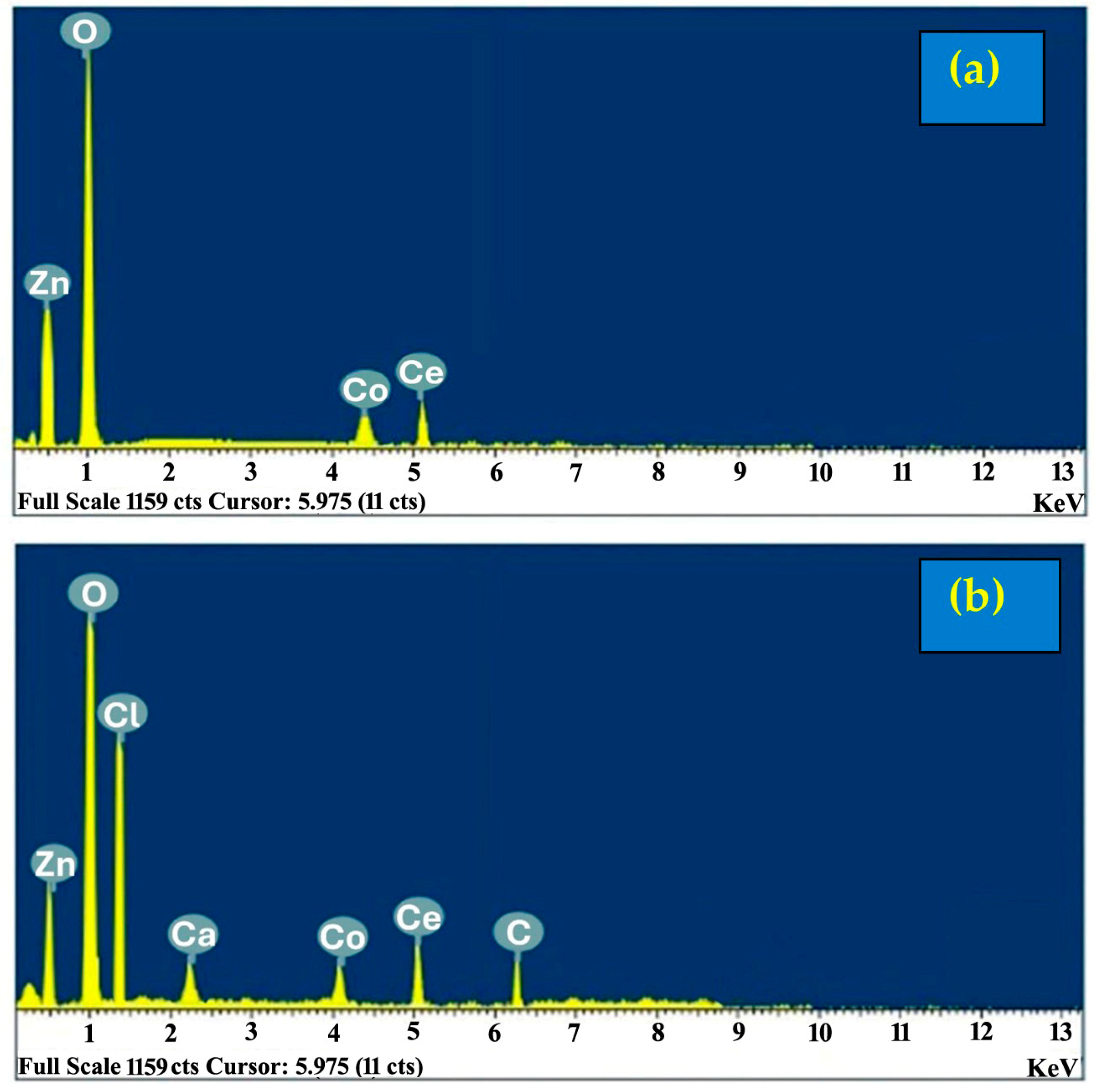 Catalysts 14 00471 g005