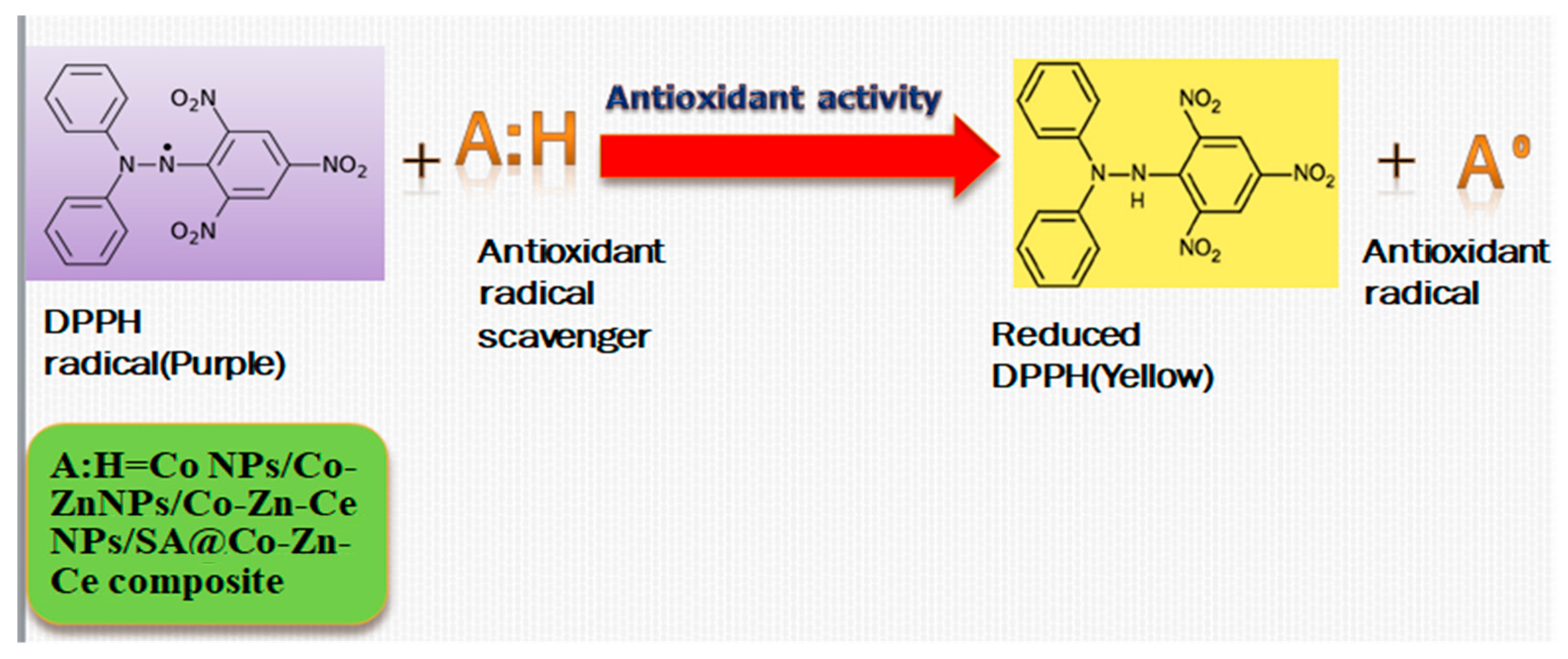Catalysts 14 00471 g009