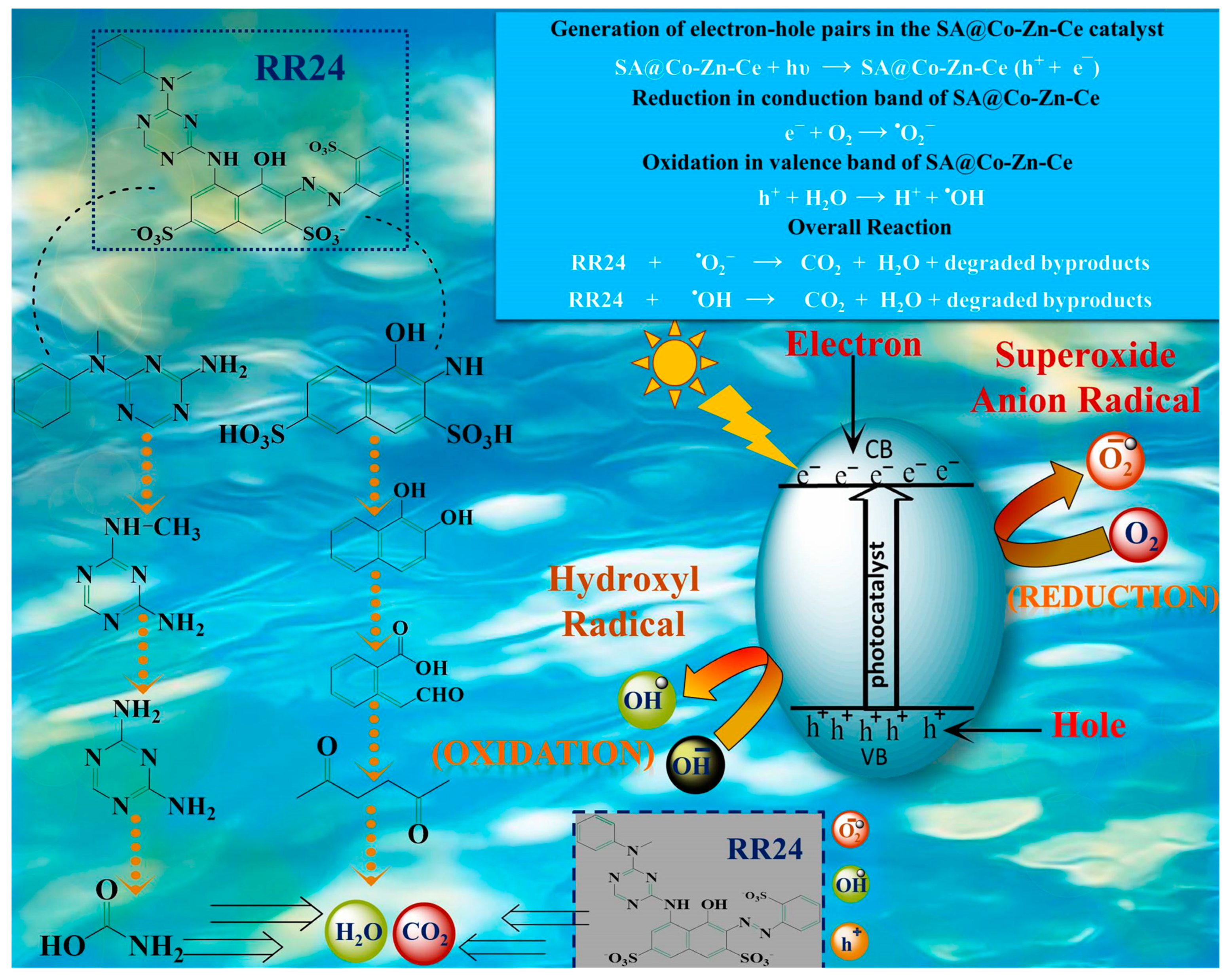 Catalysts 14 00471 g019