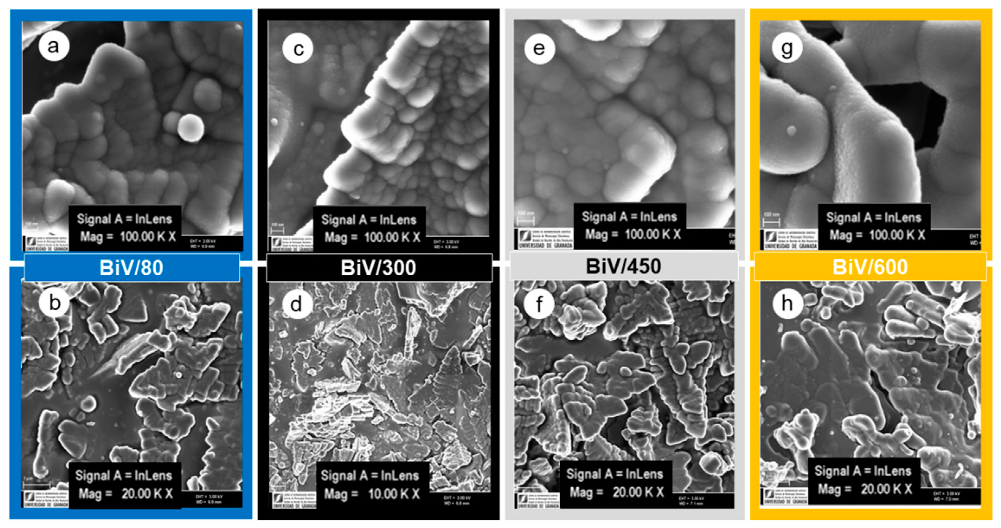 Catalysts 14 00474 g007