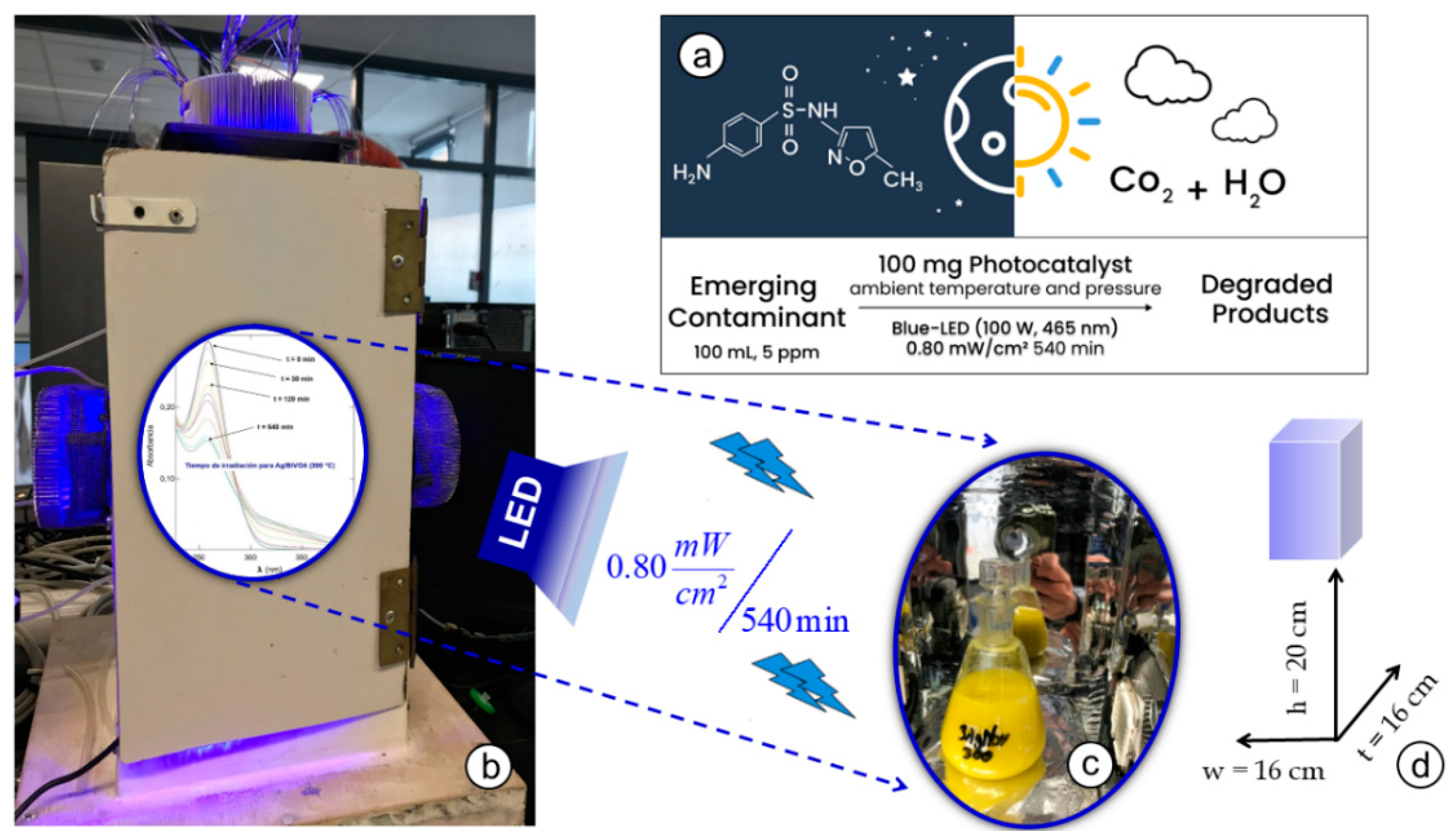 Catalysts 14 00474 g013