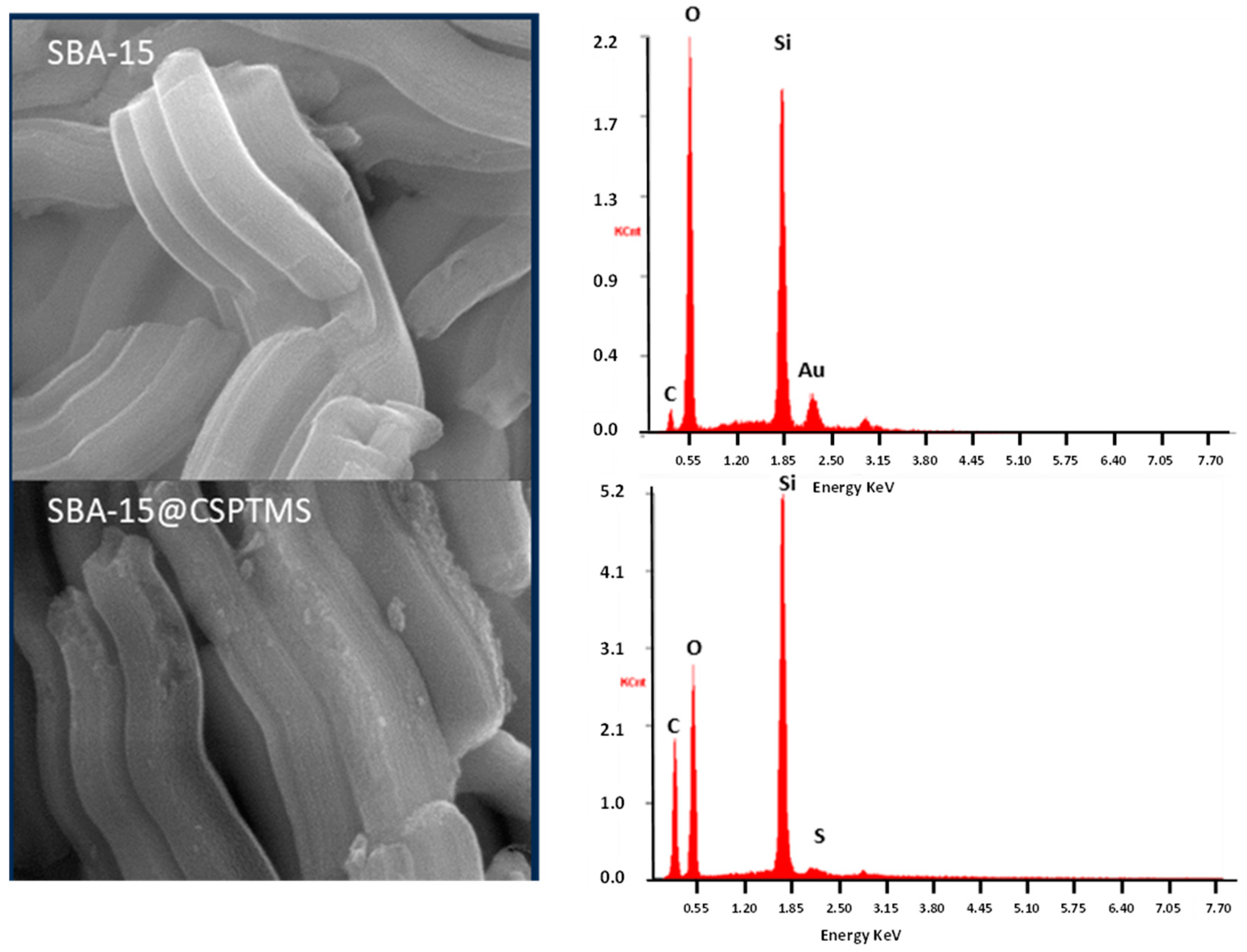 Catalysts 14 00482 g009