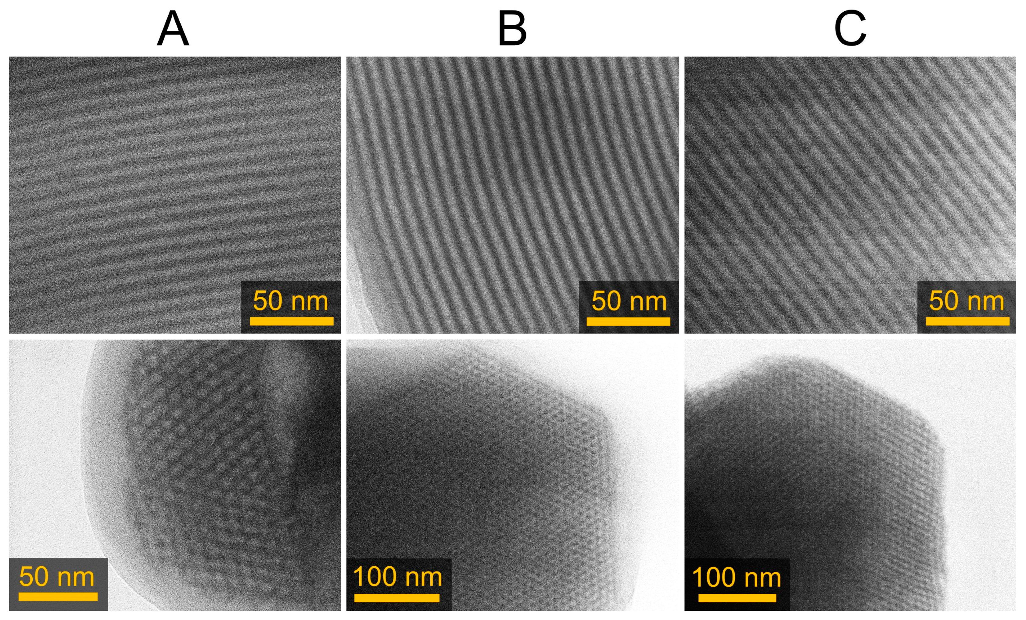 Catalysts 14 00482 g011