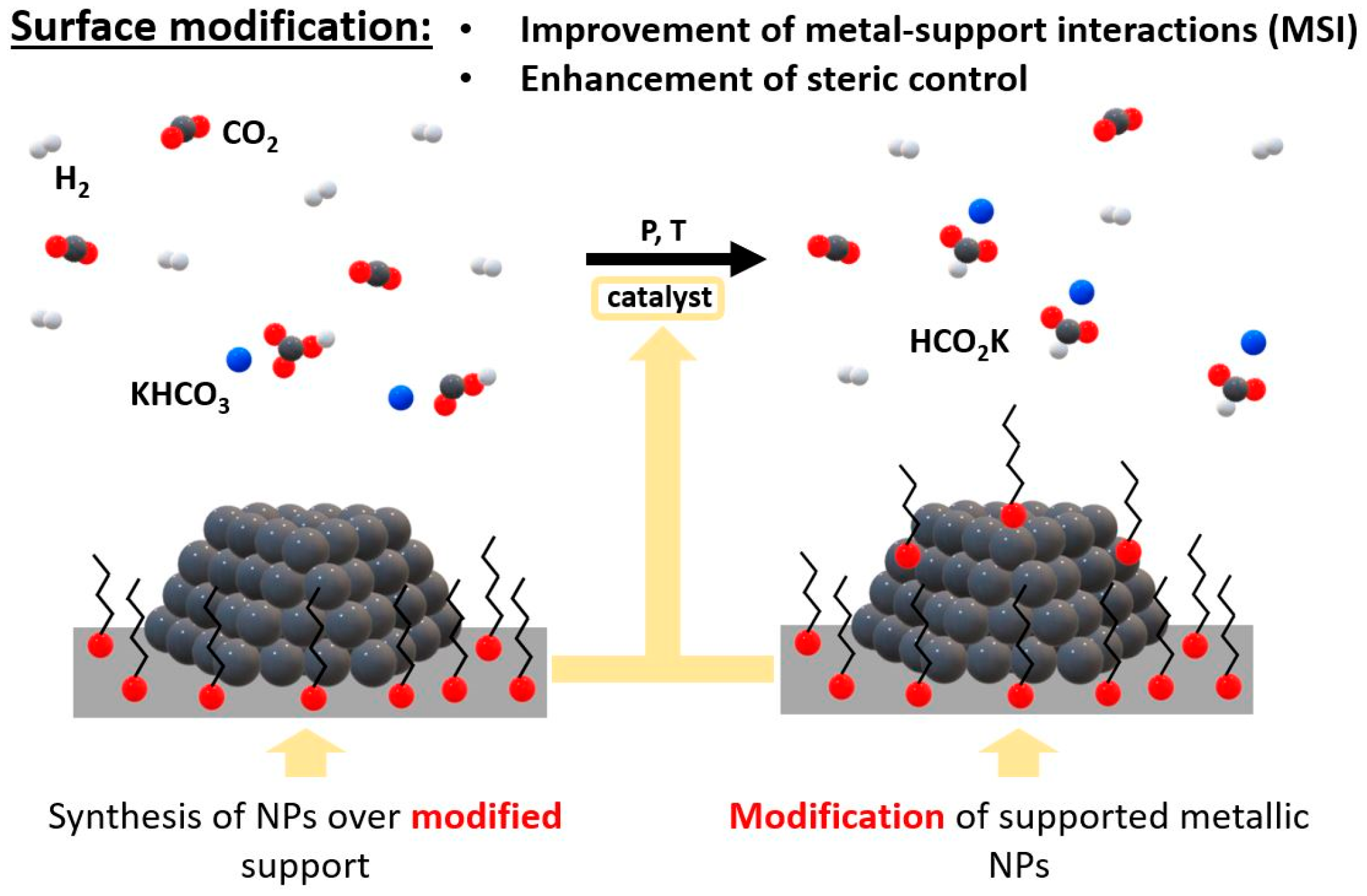 Catalysts 14 00487 sch001