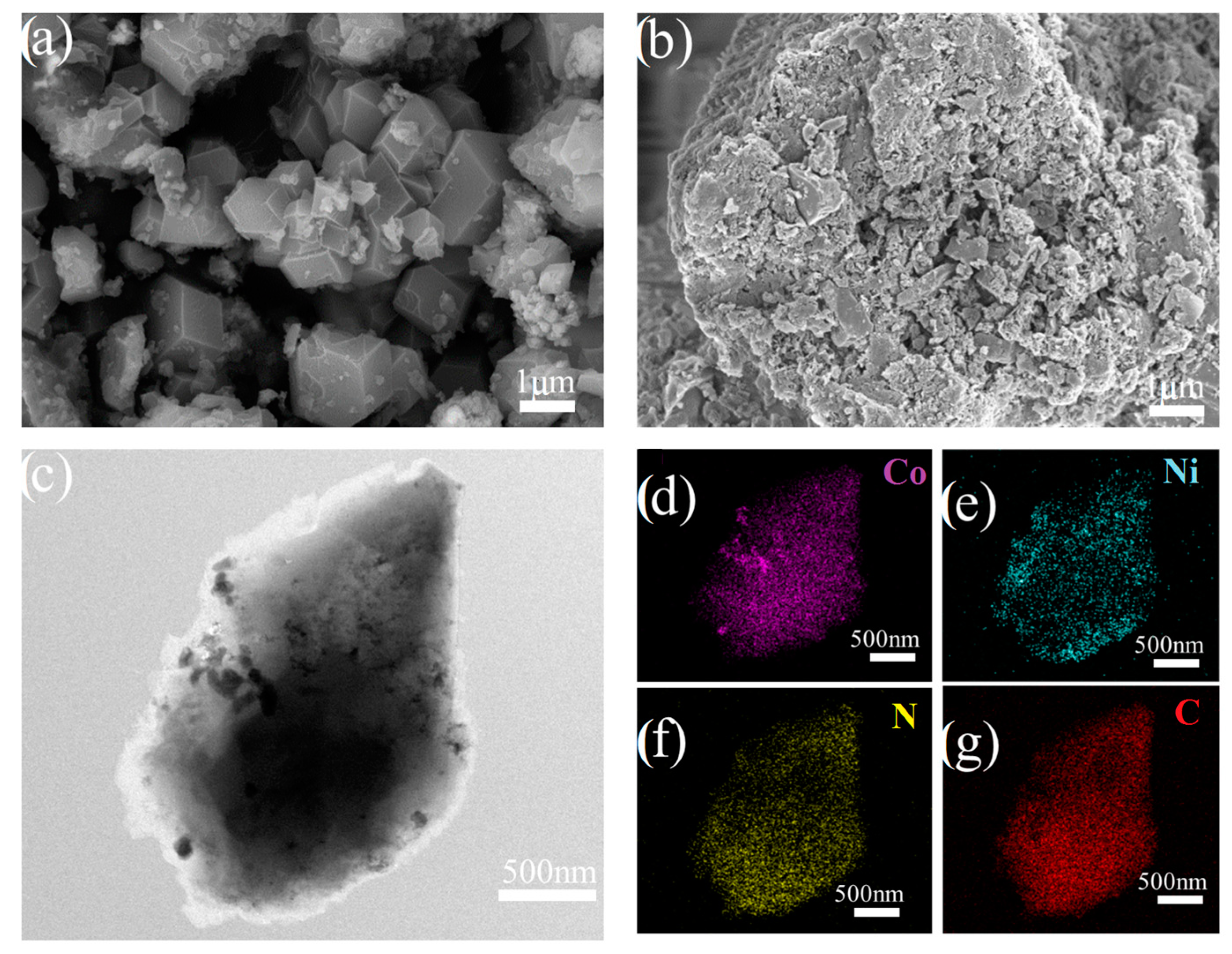 Catalysts 14 00490 g003