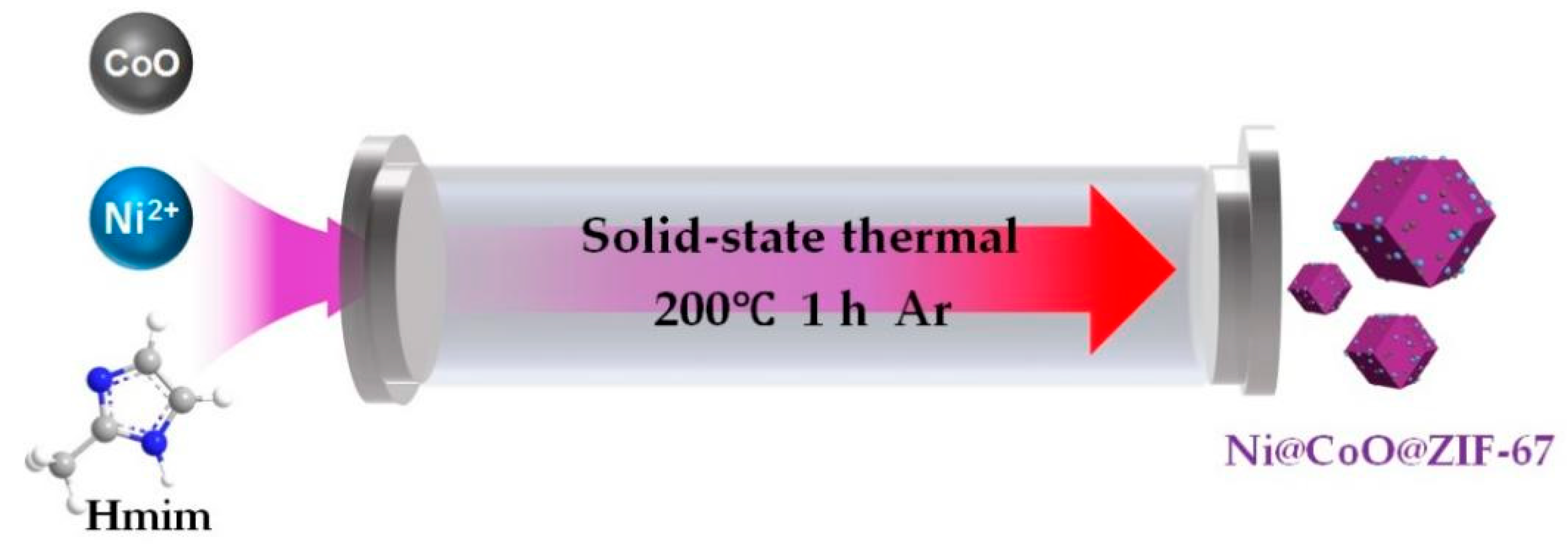 Catalysts 14 00490 sch001