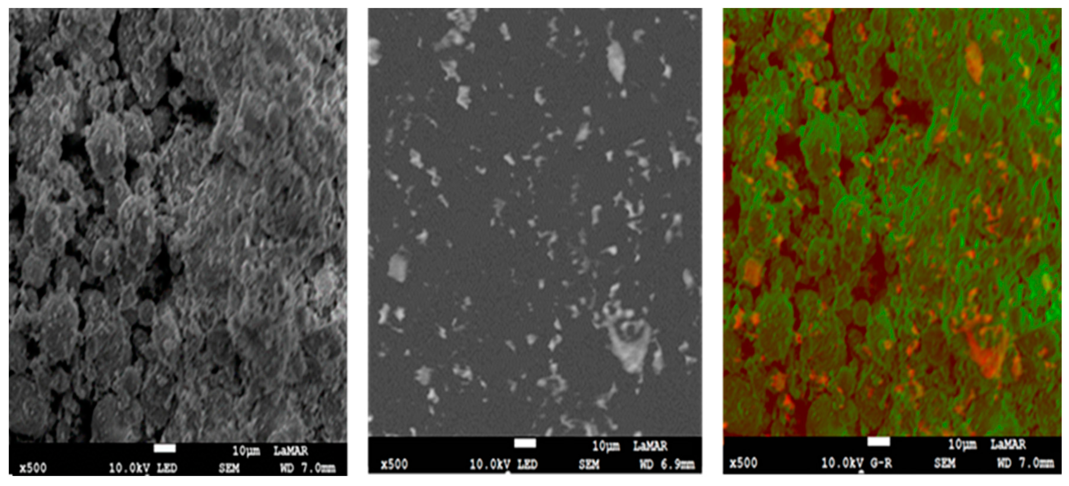 Catalysts 14 00493 g007