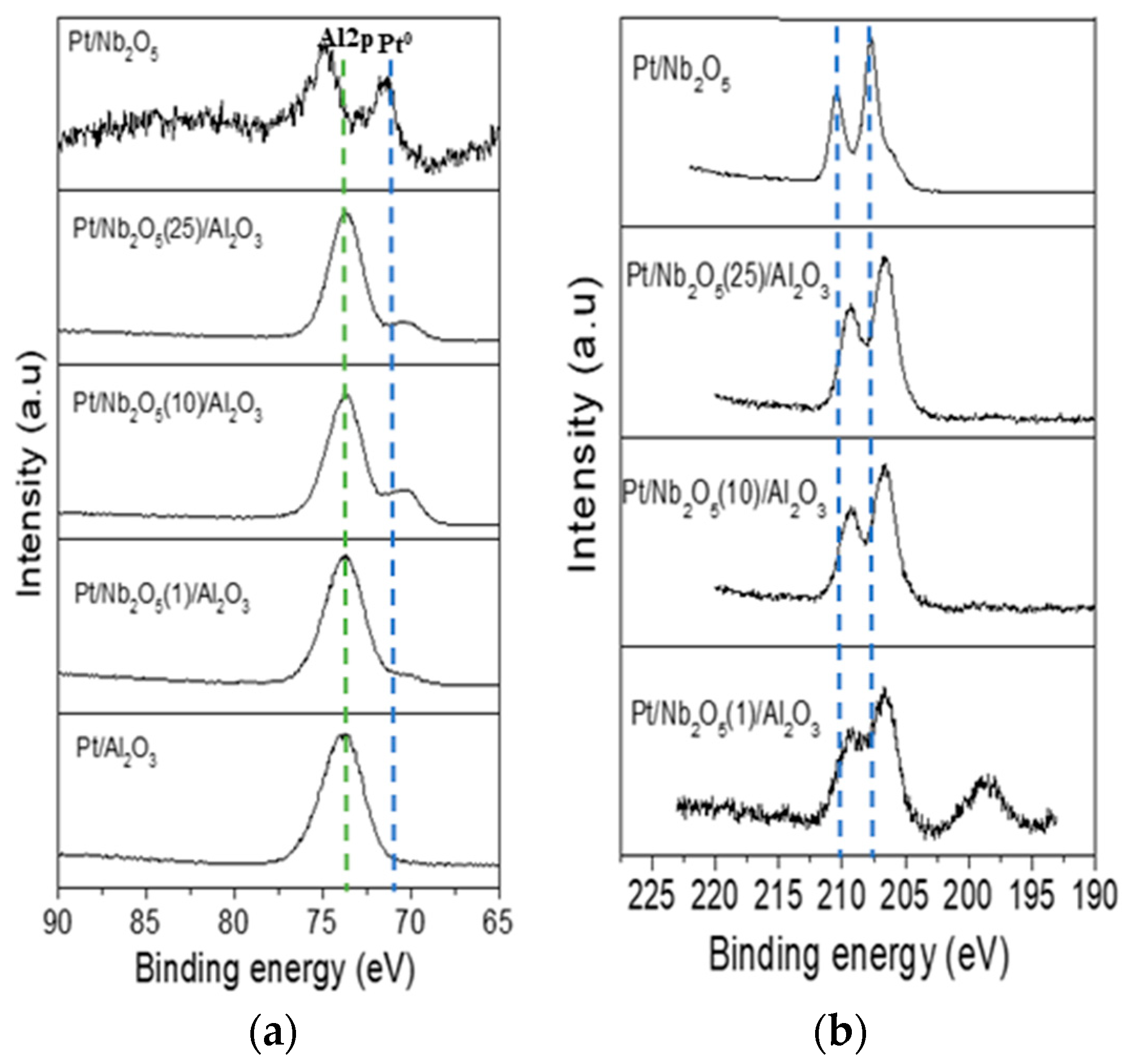Catalysts 14 00493 g008