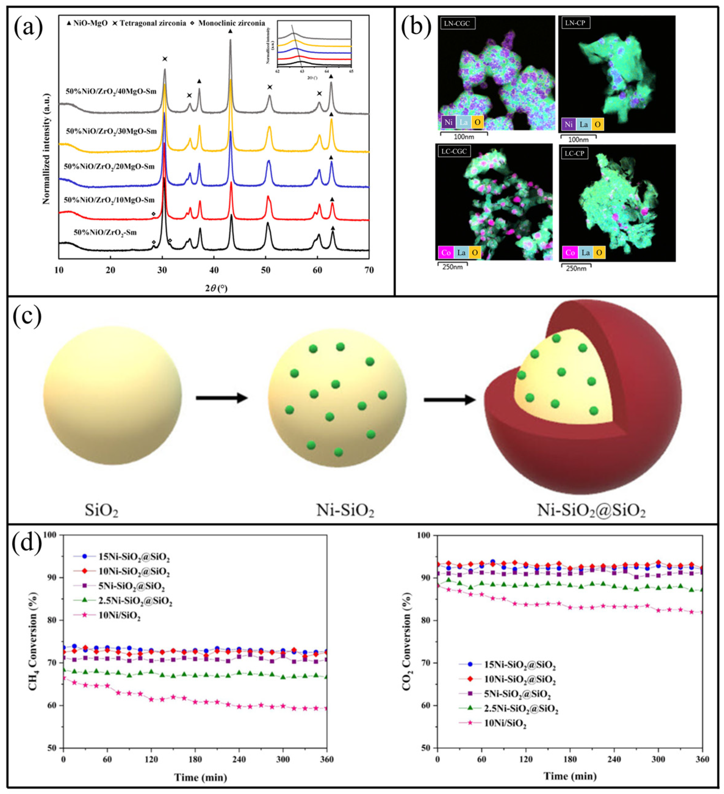 Catalysts 14 00494 g004