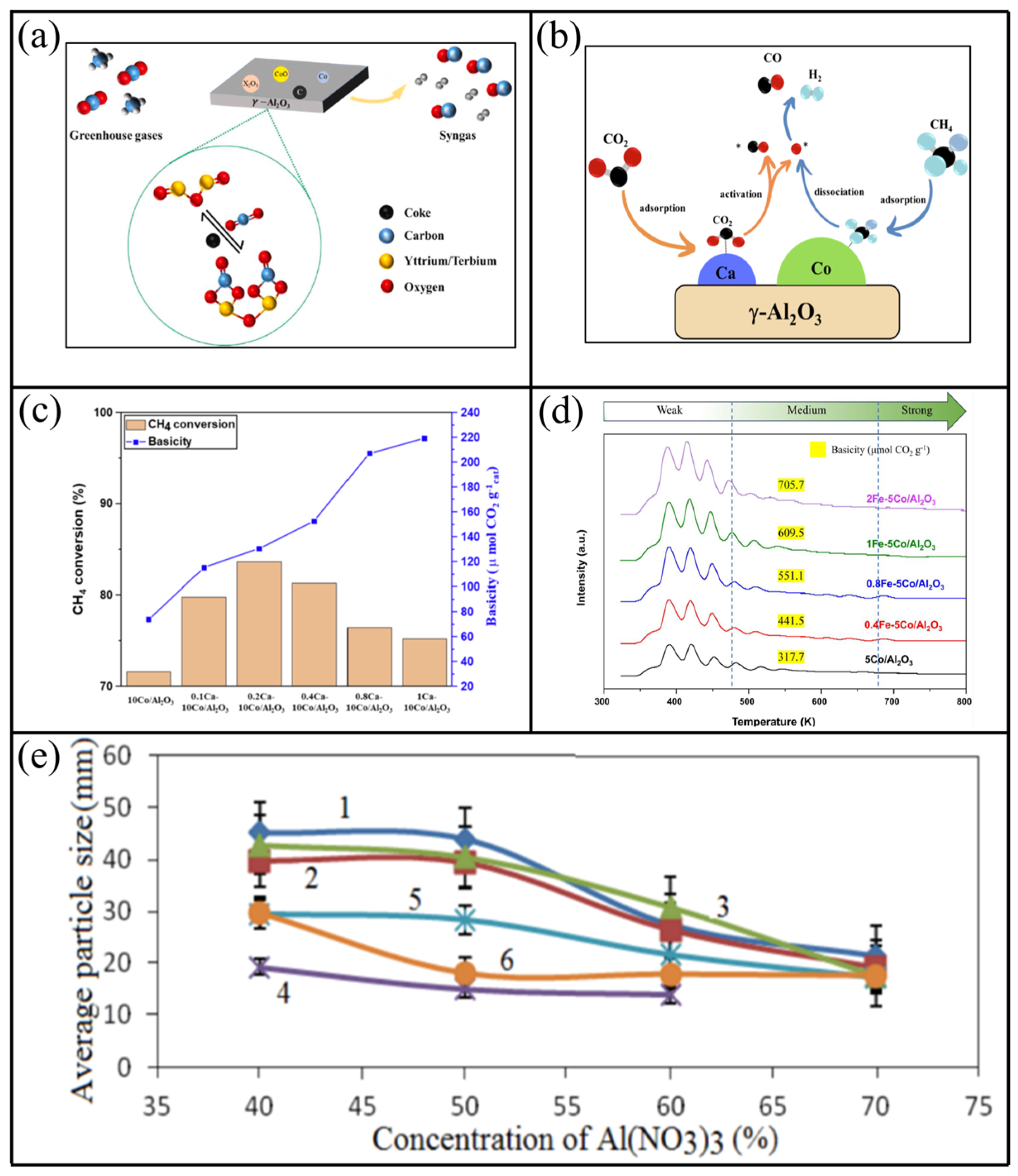 Catalysts 14 00494 g005