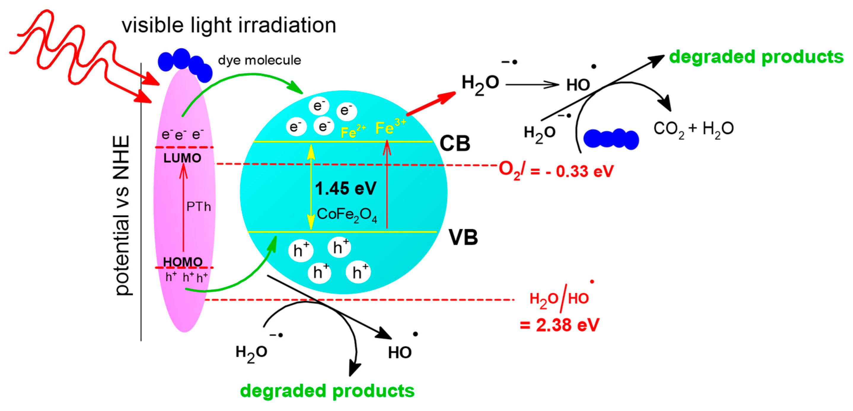 Catalysts 14 00495 sch001