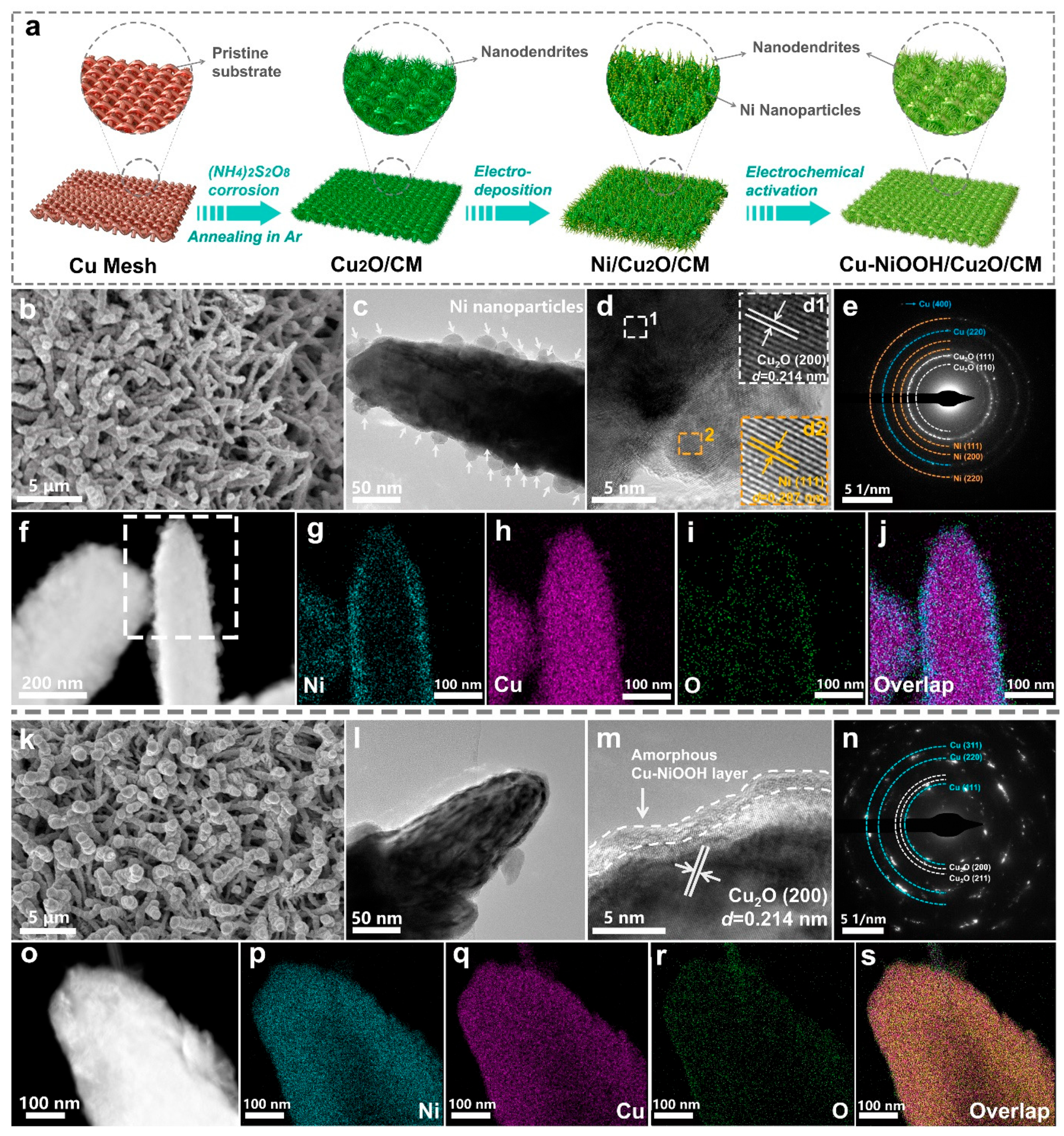Catalysts 14 00496 g001