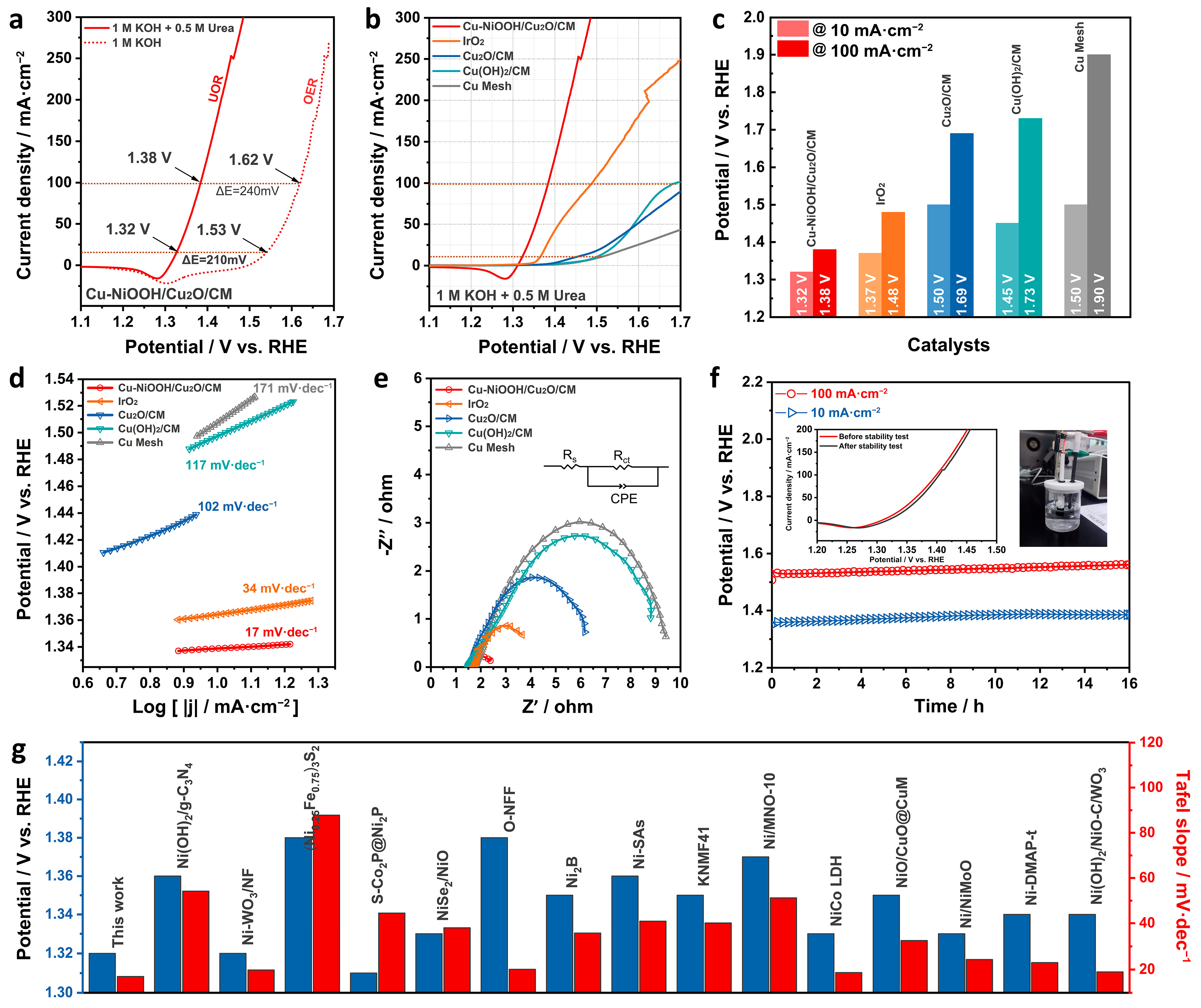 Catalysts 14 00496 g003