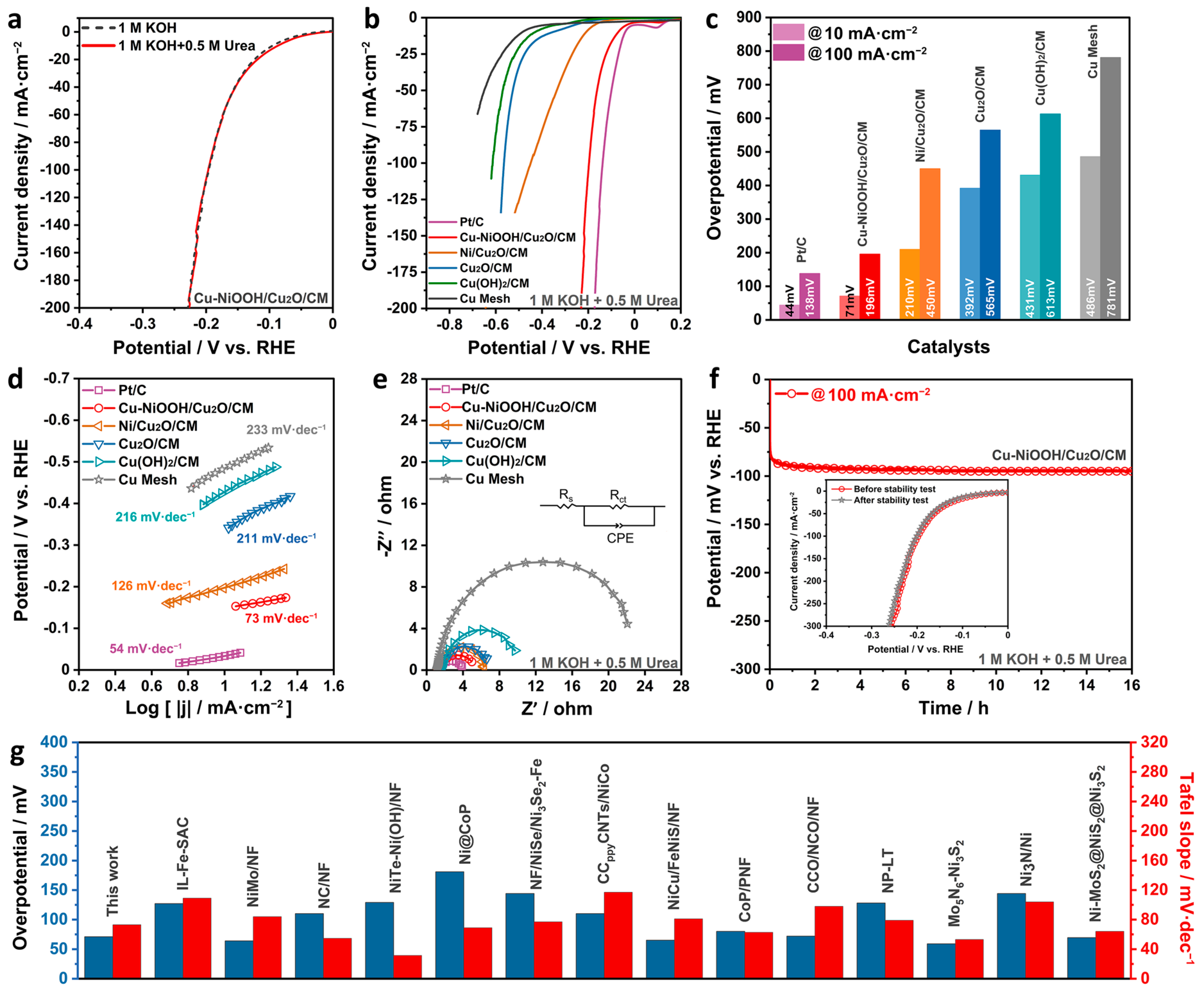 Catalysts 14 00496 g004