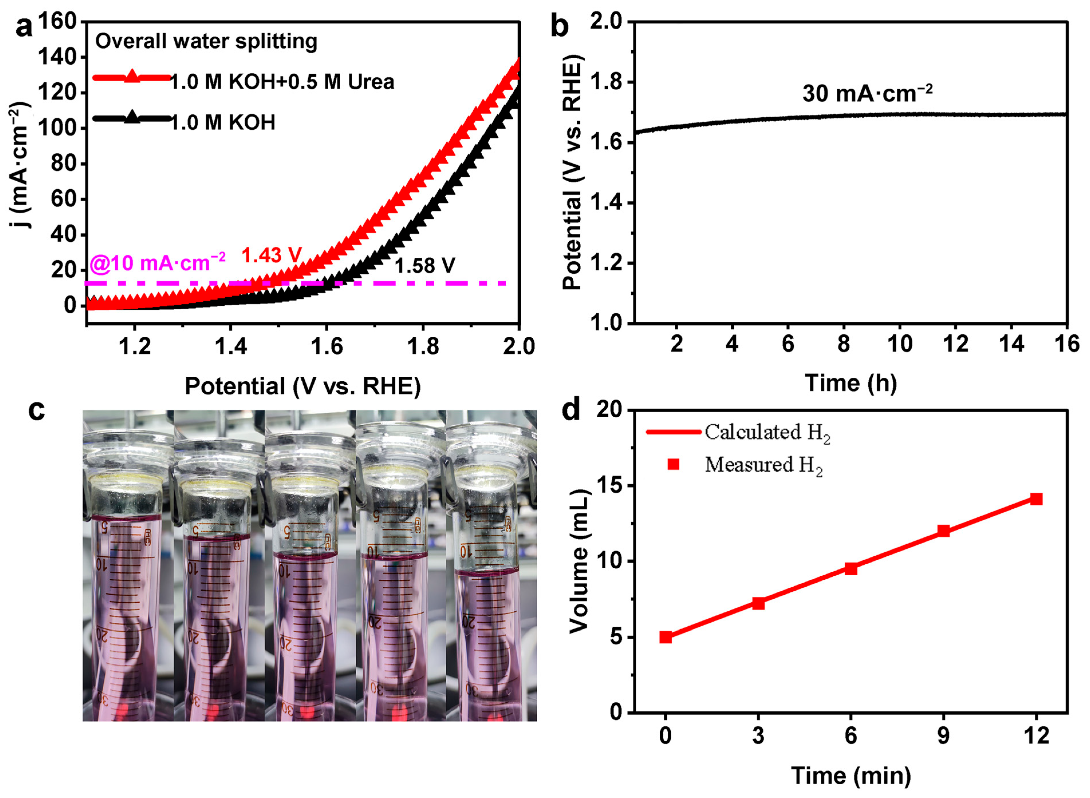 Catalysts 14 00496 g005