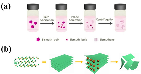 Exploring the Multifaceted Potential of 2D Bismuthene