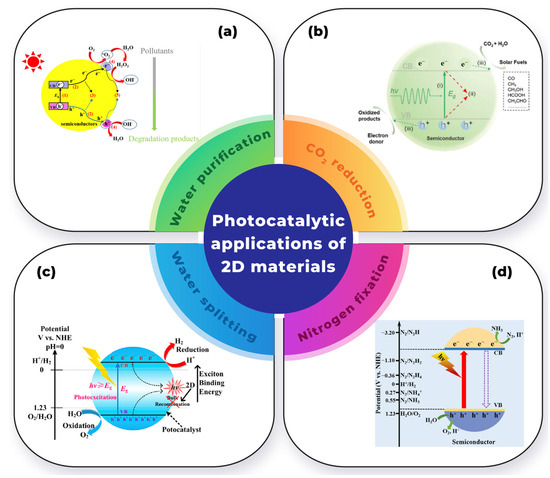 Exploring the Multifaceted Potential of 2D Bismuthene