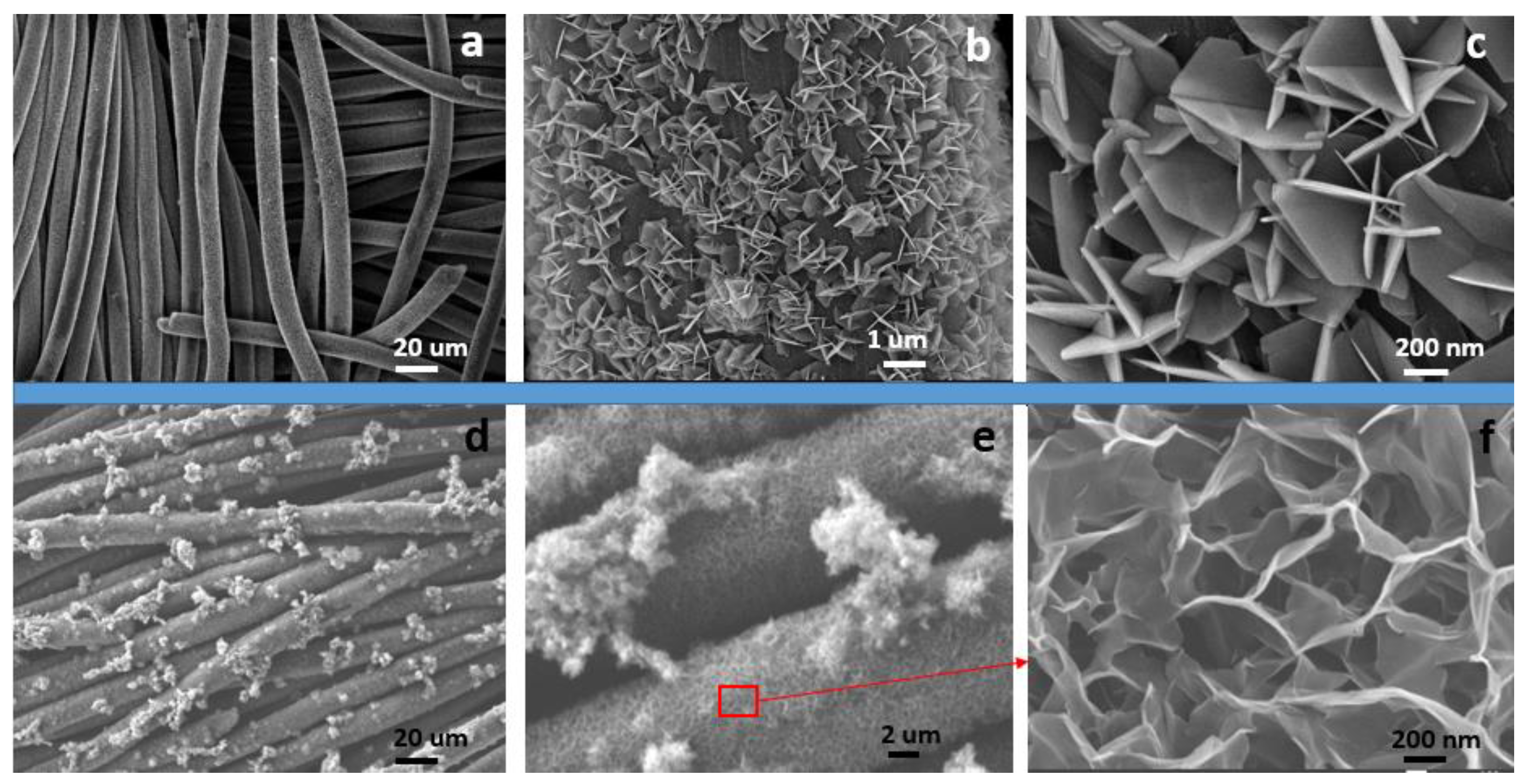 Catalysts 14 00502 g001