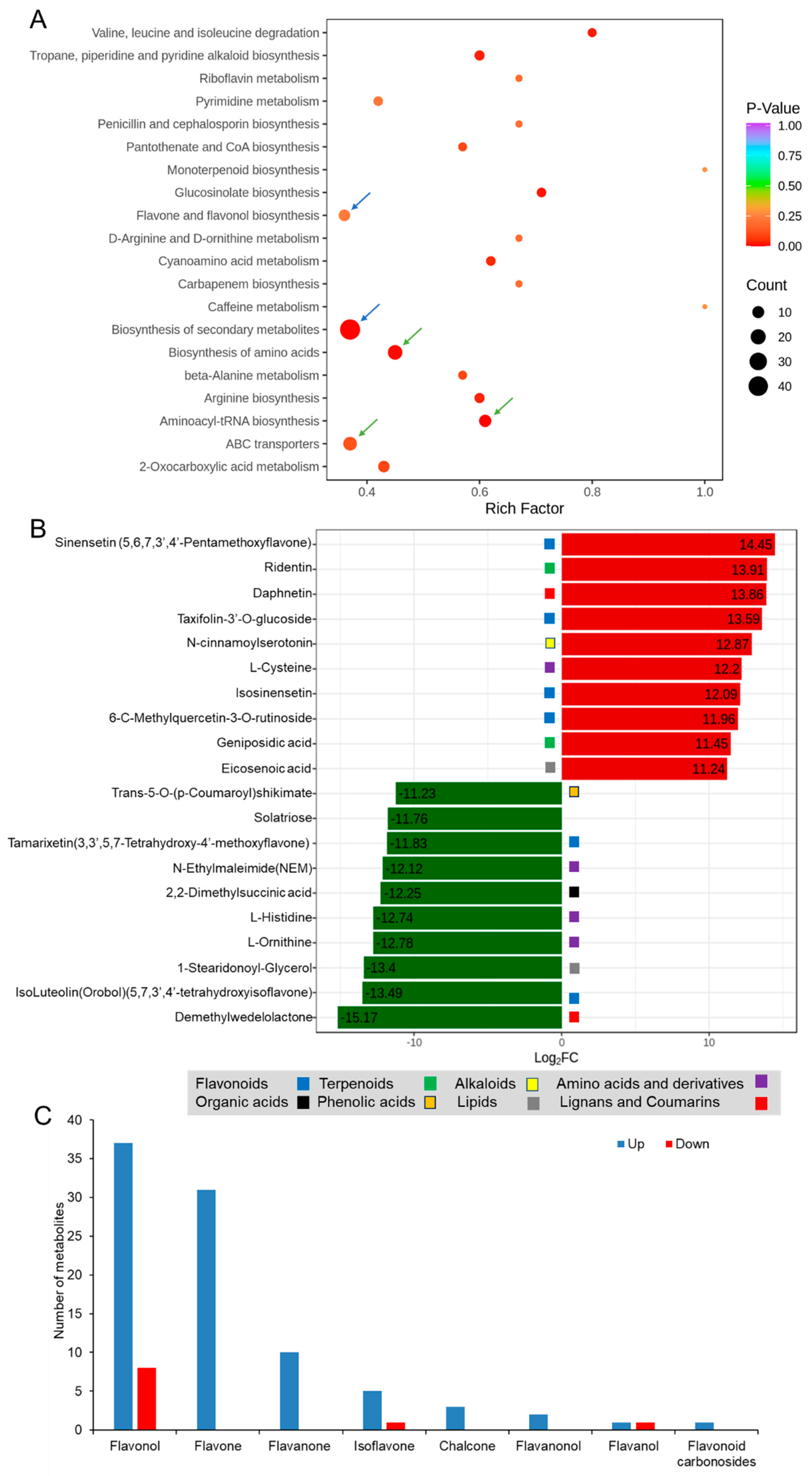 Catalysts 14 00504 g004
