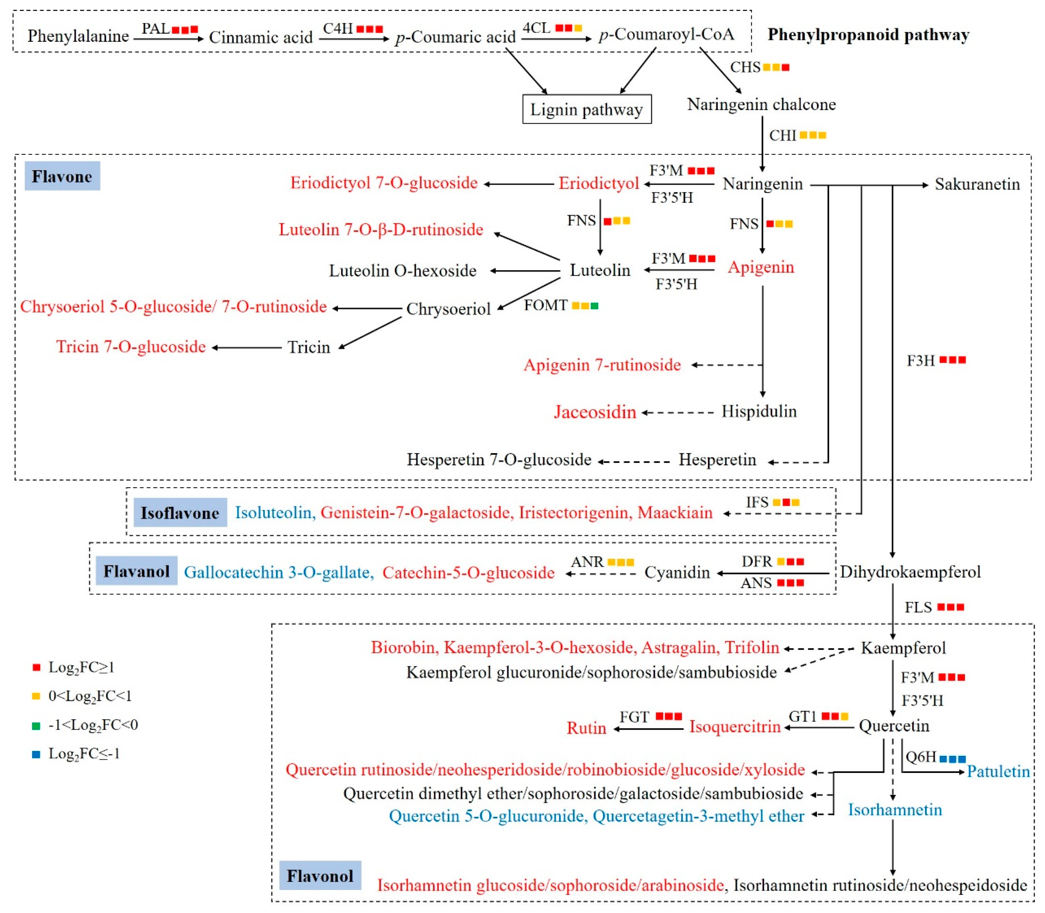 Catalysts 14 00504 g005