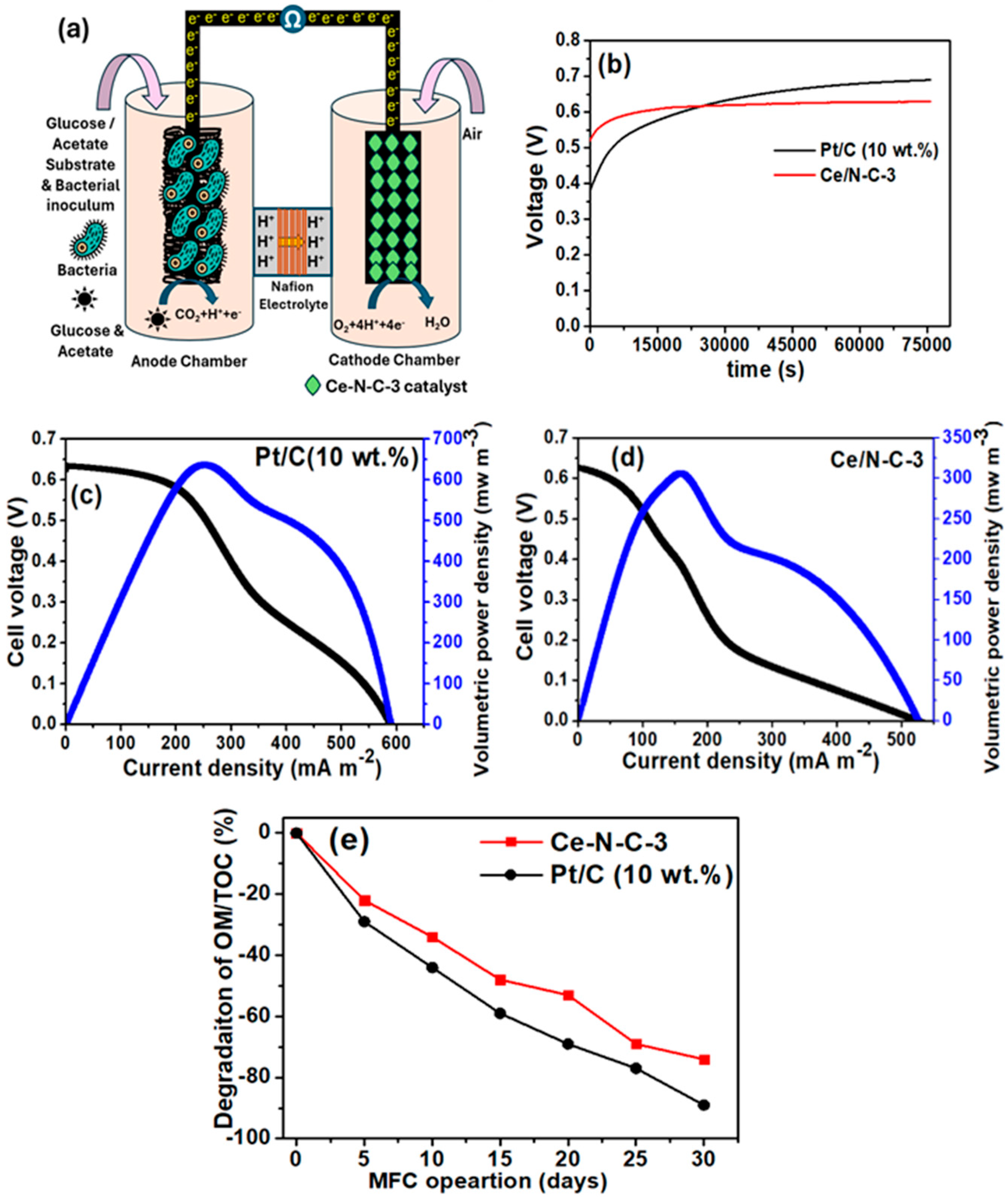 Catalysts 14 00506 g007