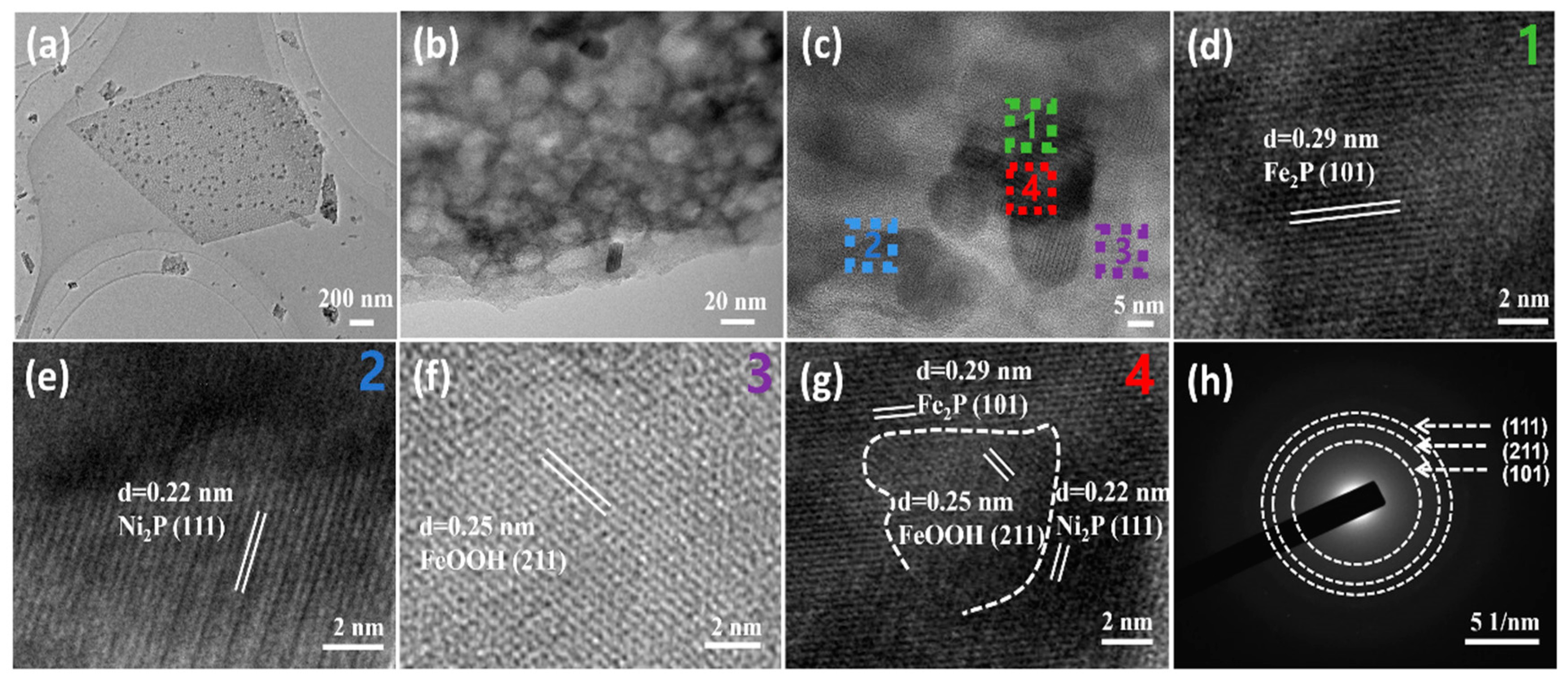 Catalysts 14 00511 g002