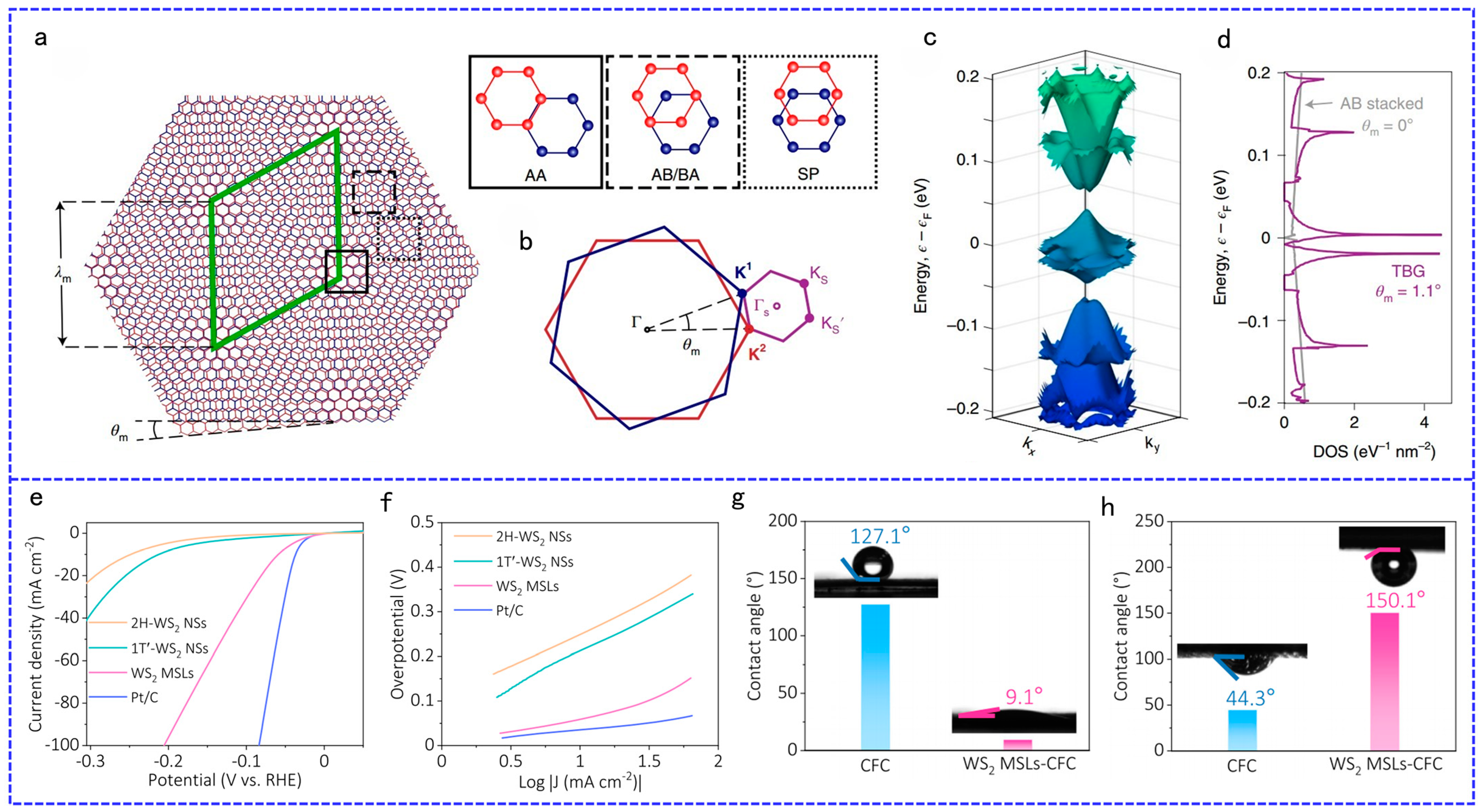 Catalysts 14 00519 g002