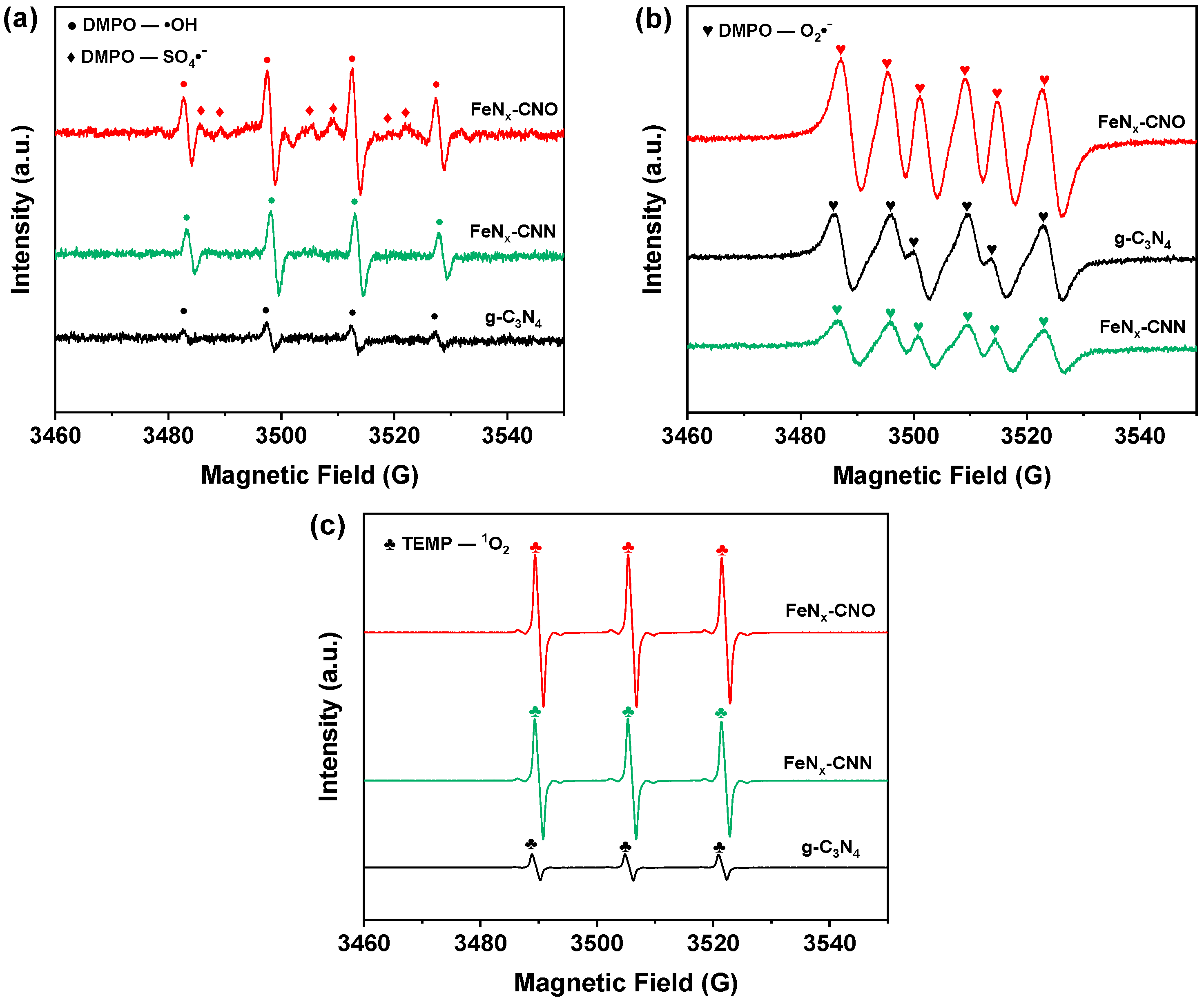 Catalysts 14 00520 g008